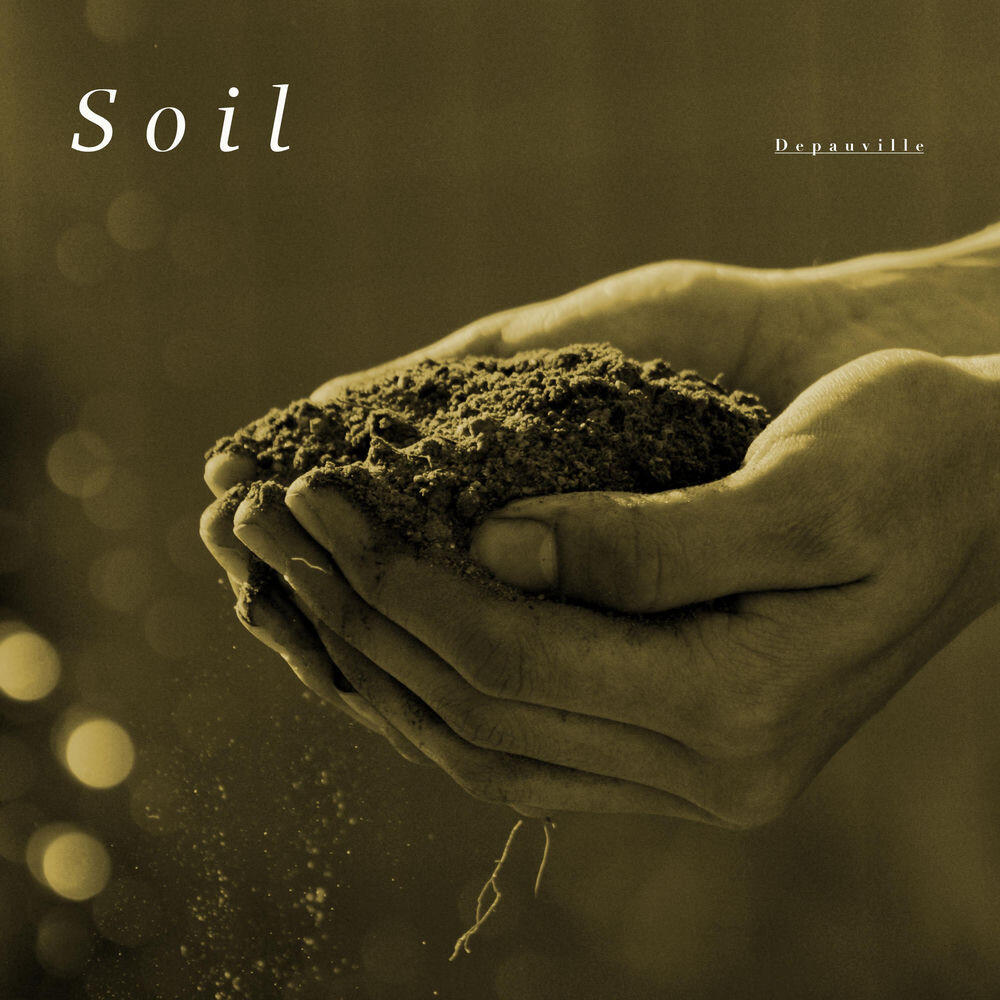 Релиз Soil