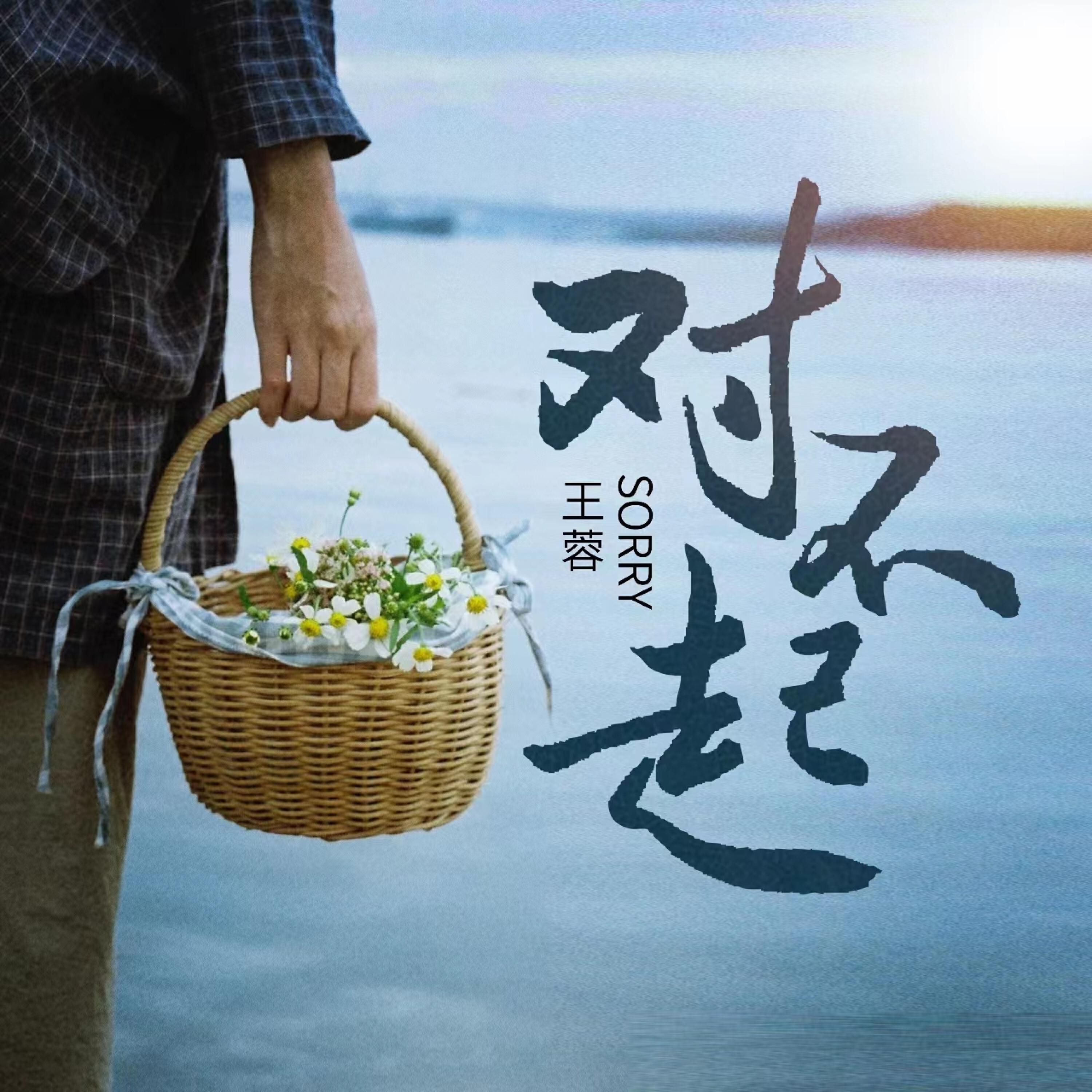 Релиз 对不起