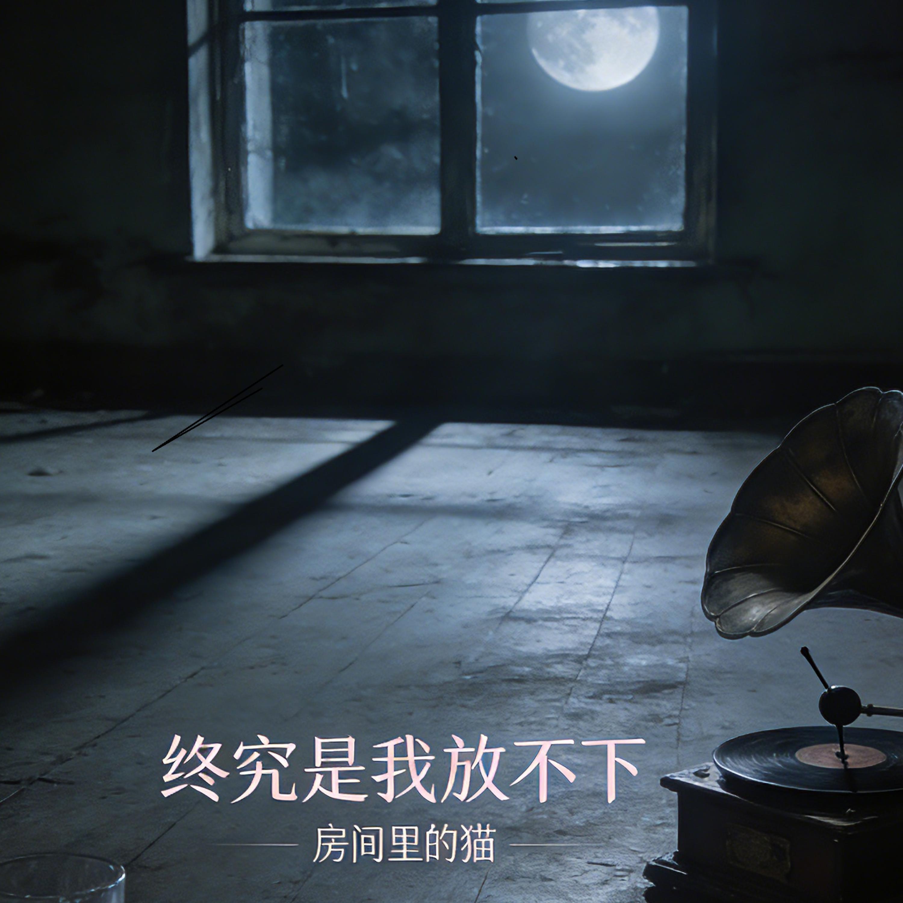 房间里的猫