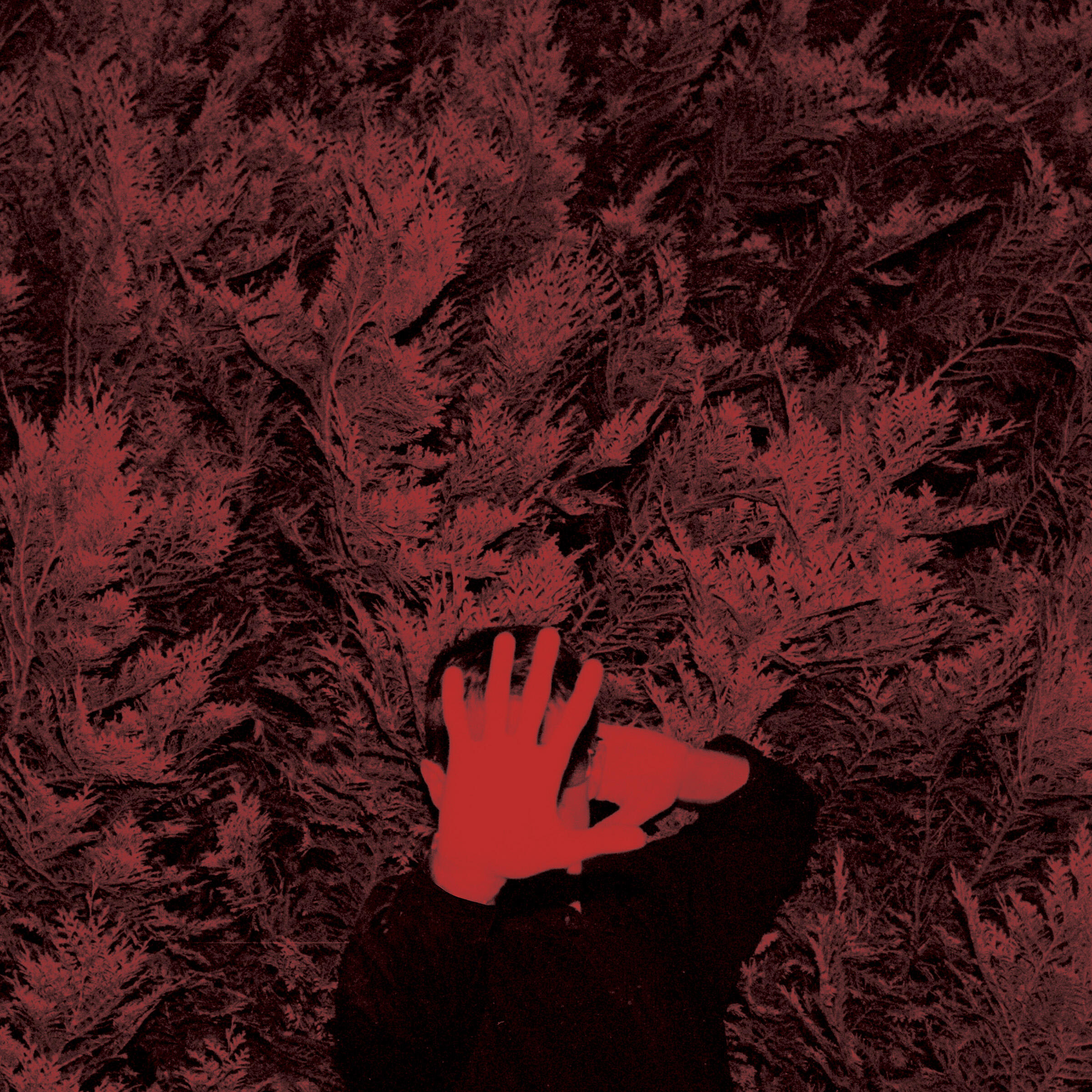 Релиз The Unborn Capitalist From Limbo