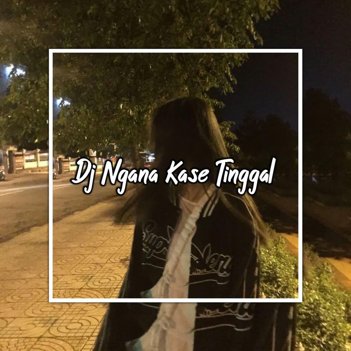 Релиз Dj Ngana Kase Tinggal X Aku Suka Body