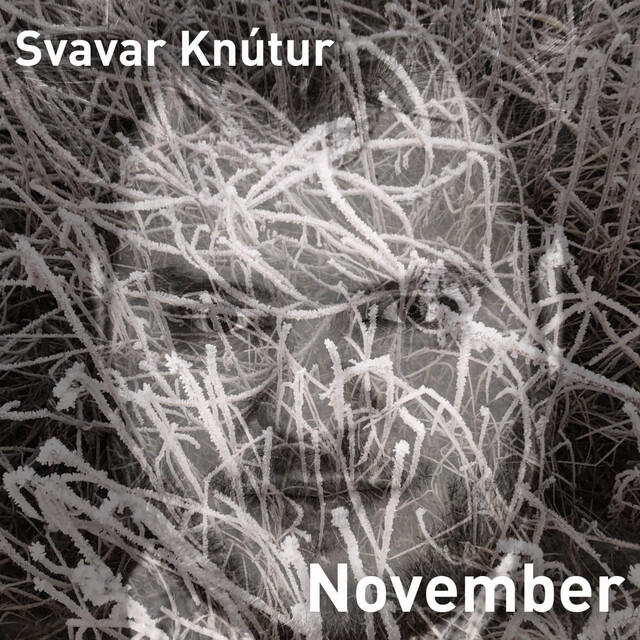 Релиз November