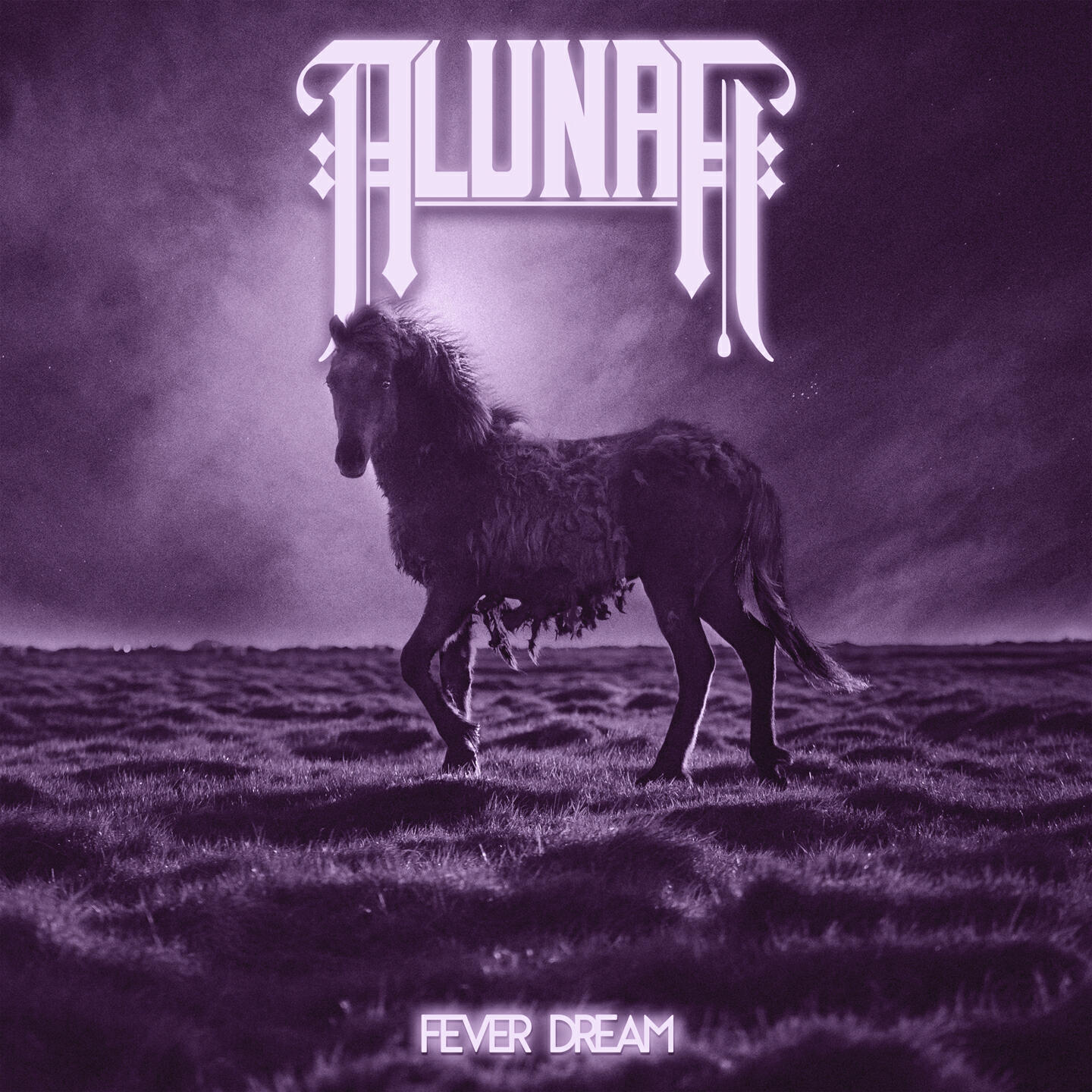 Релиз Fever Dream
