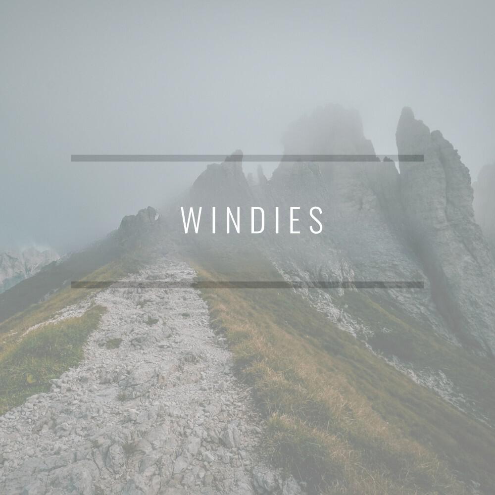 Релиз Windies