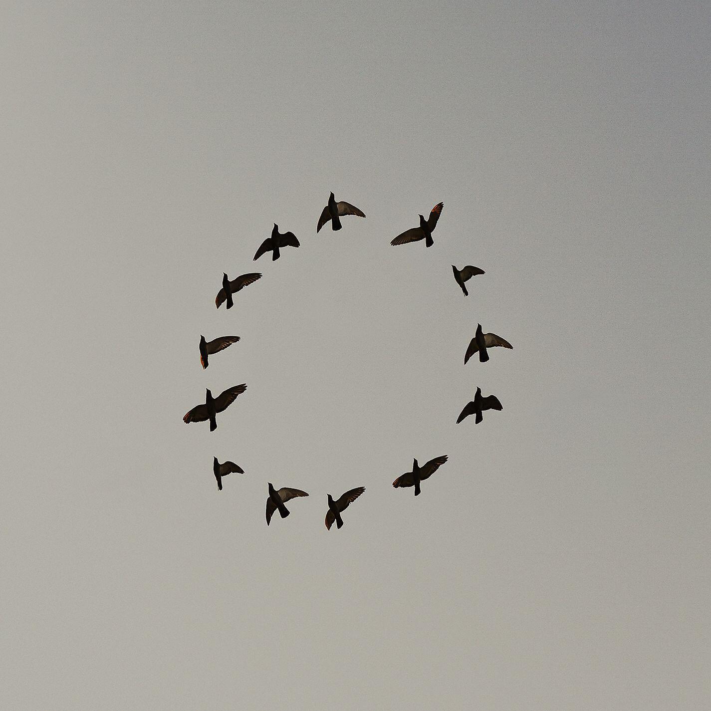 Релиз Morality Cuts