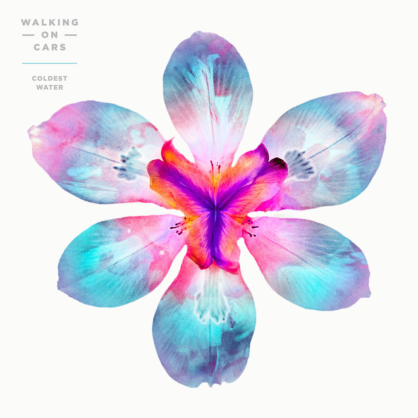 Релиз Coldest Water
