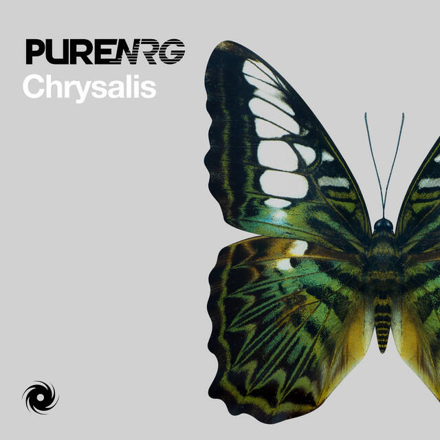 Релиз Chrysalis
