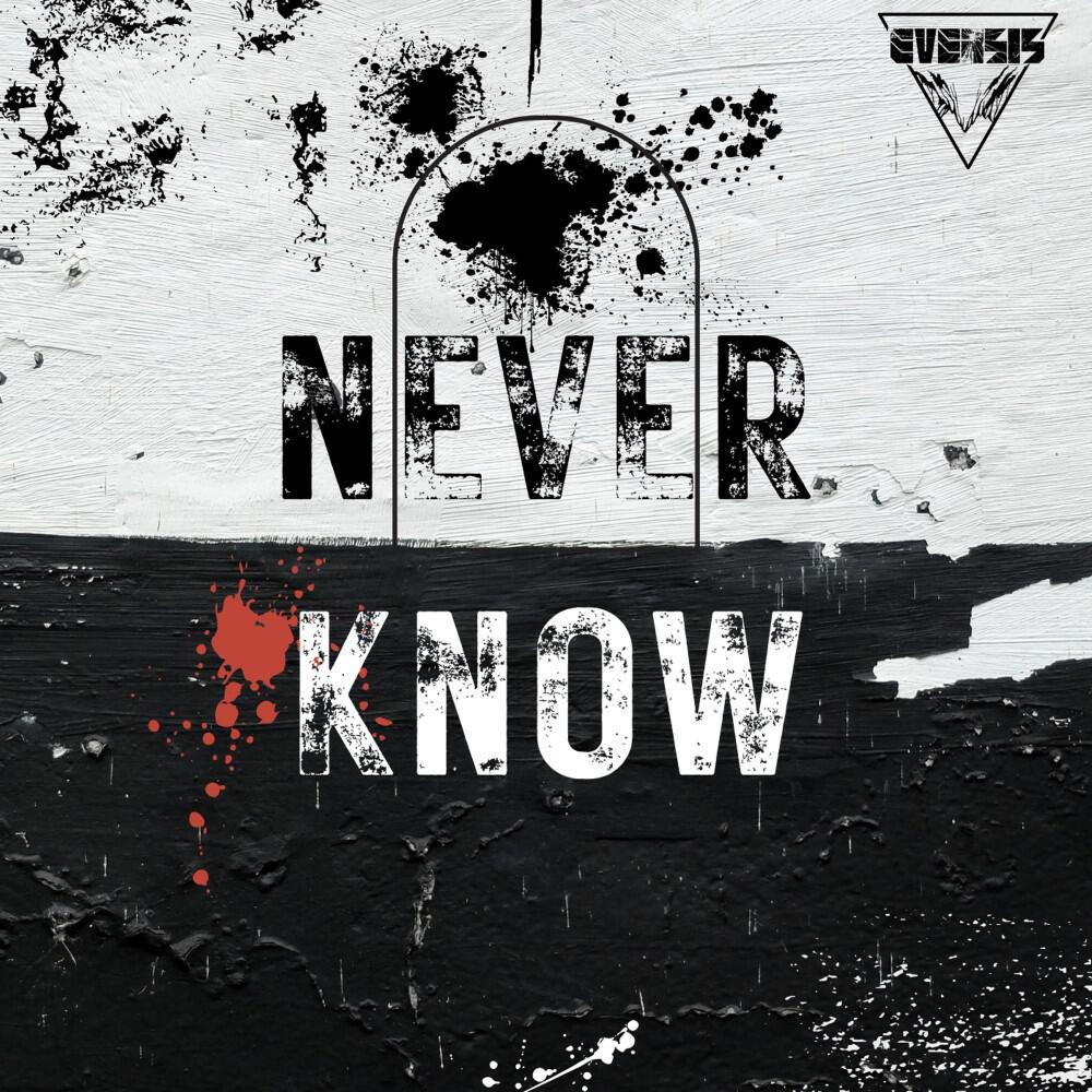 Релиз Never Know