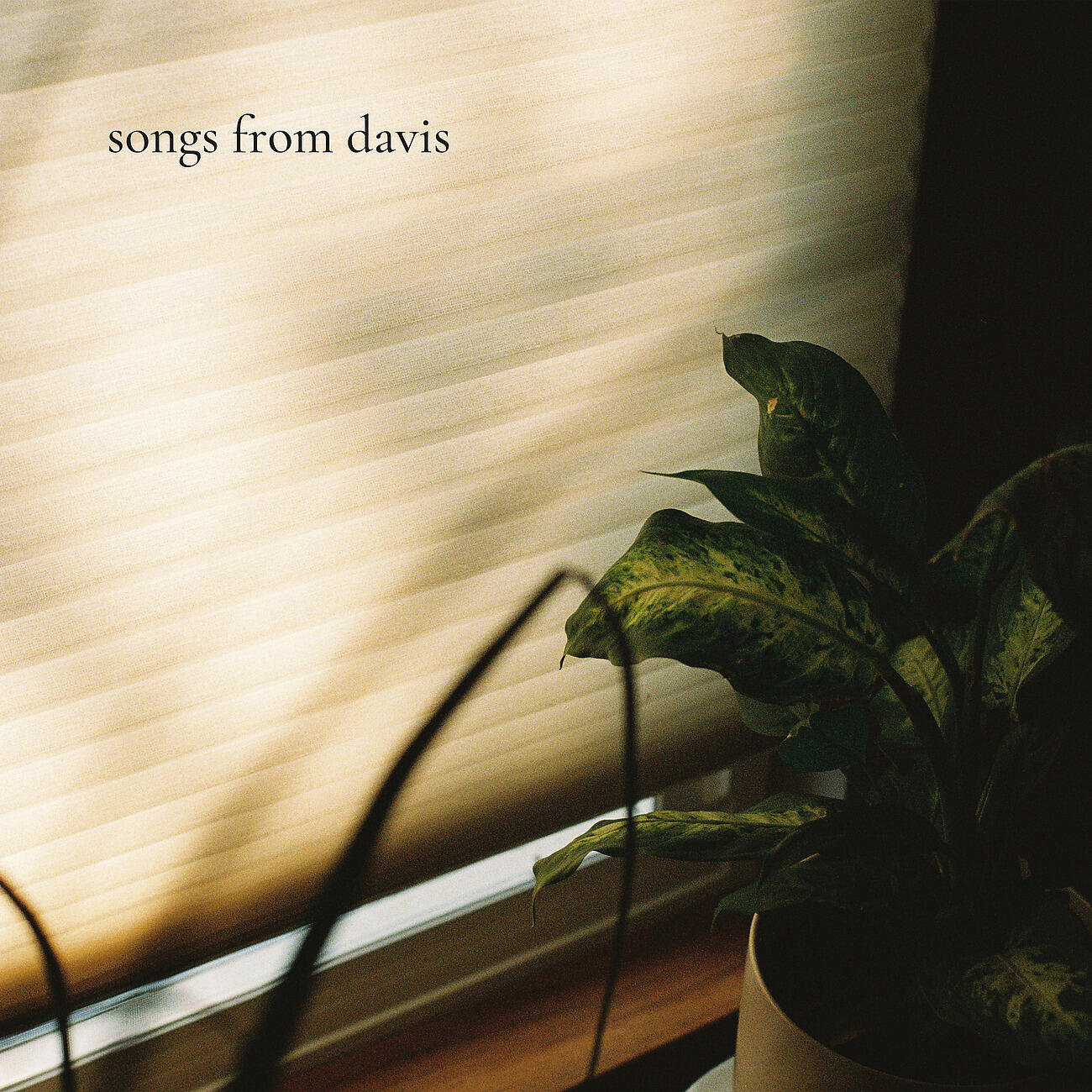 Релиз Songs from Davis