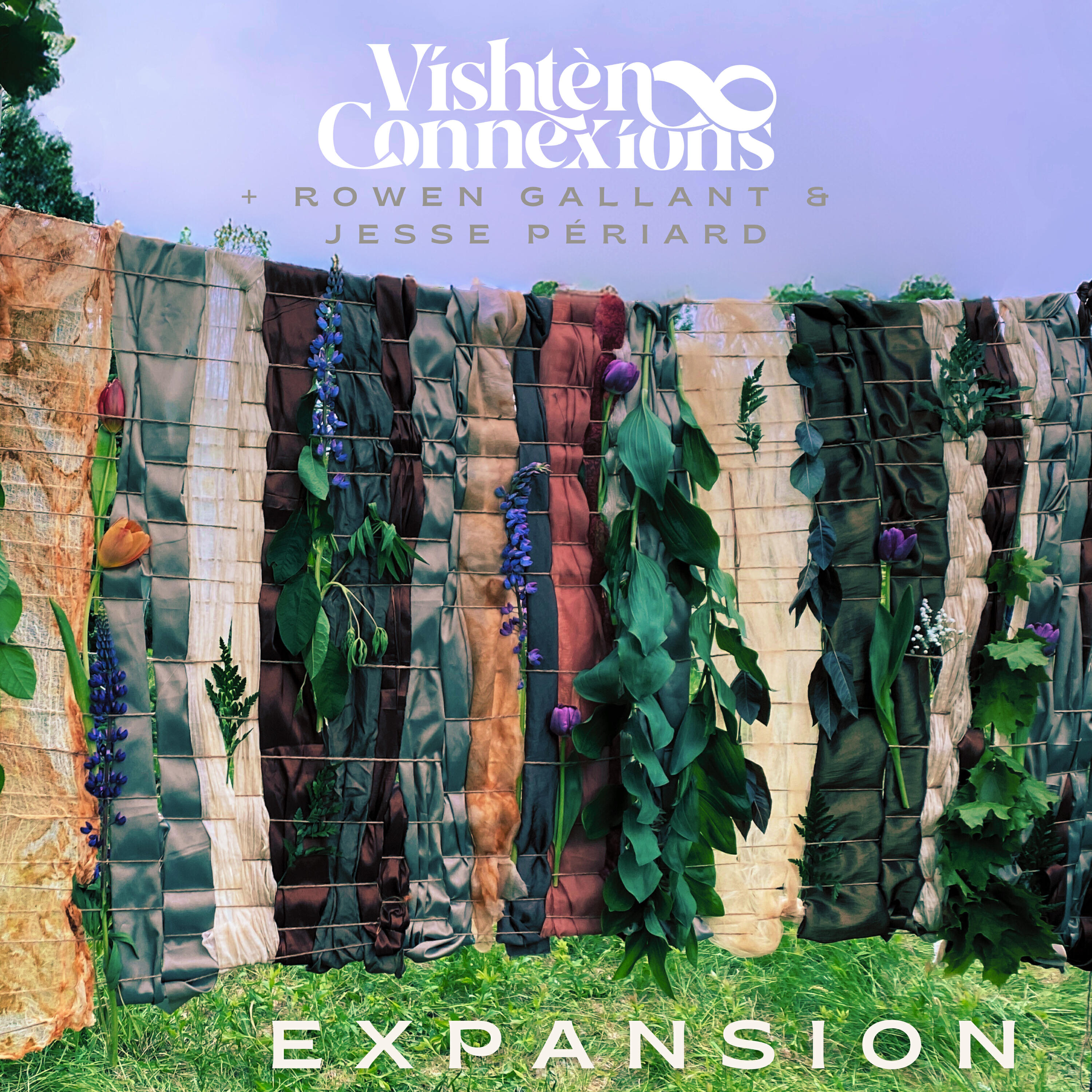 Релиз Expansion
