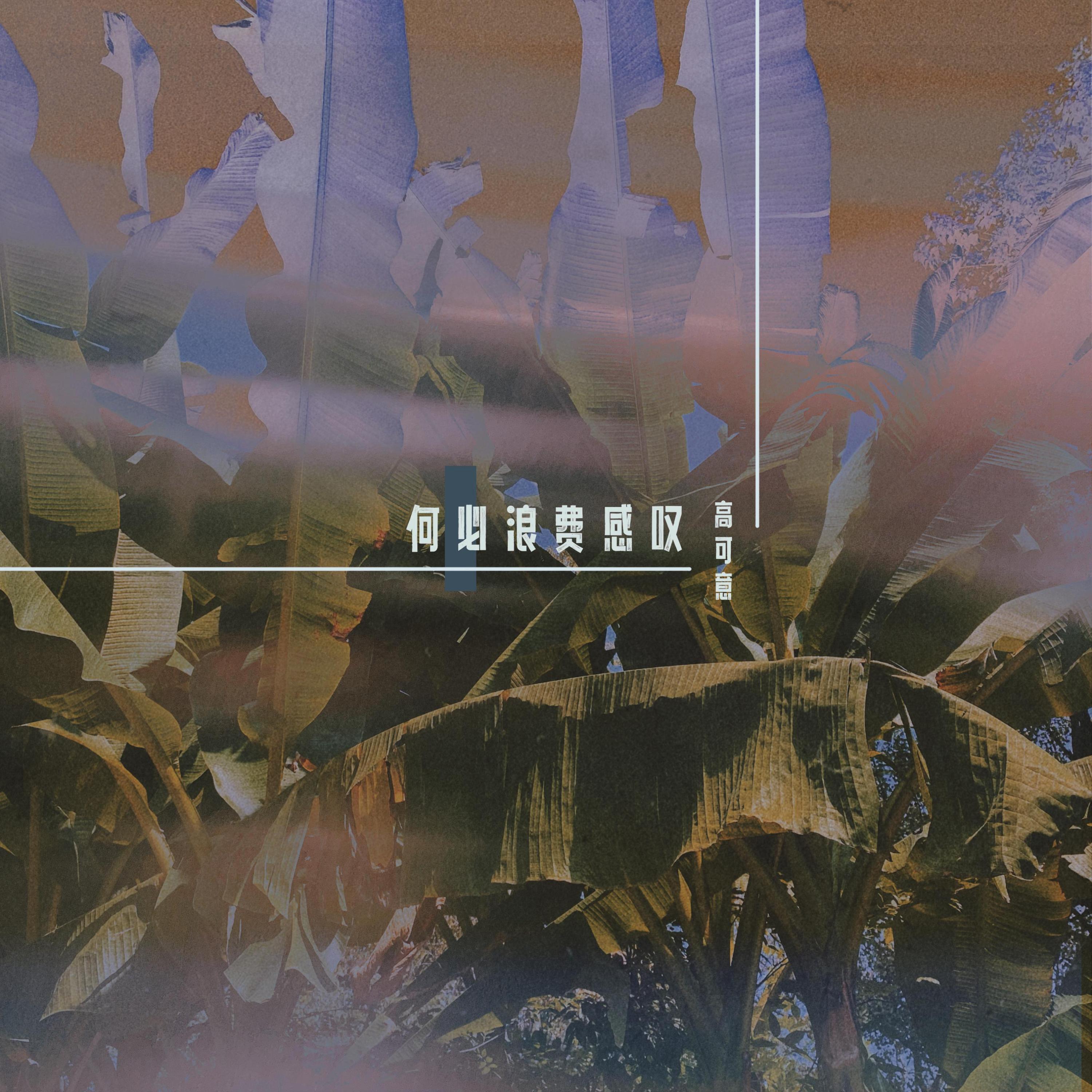 Релиз 何必浪费感叹