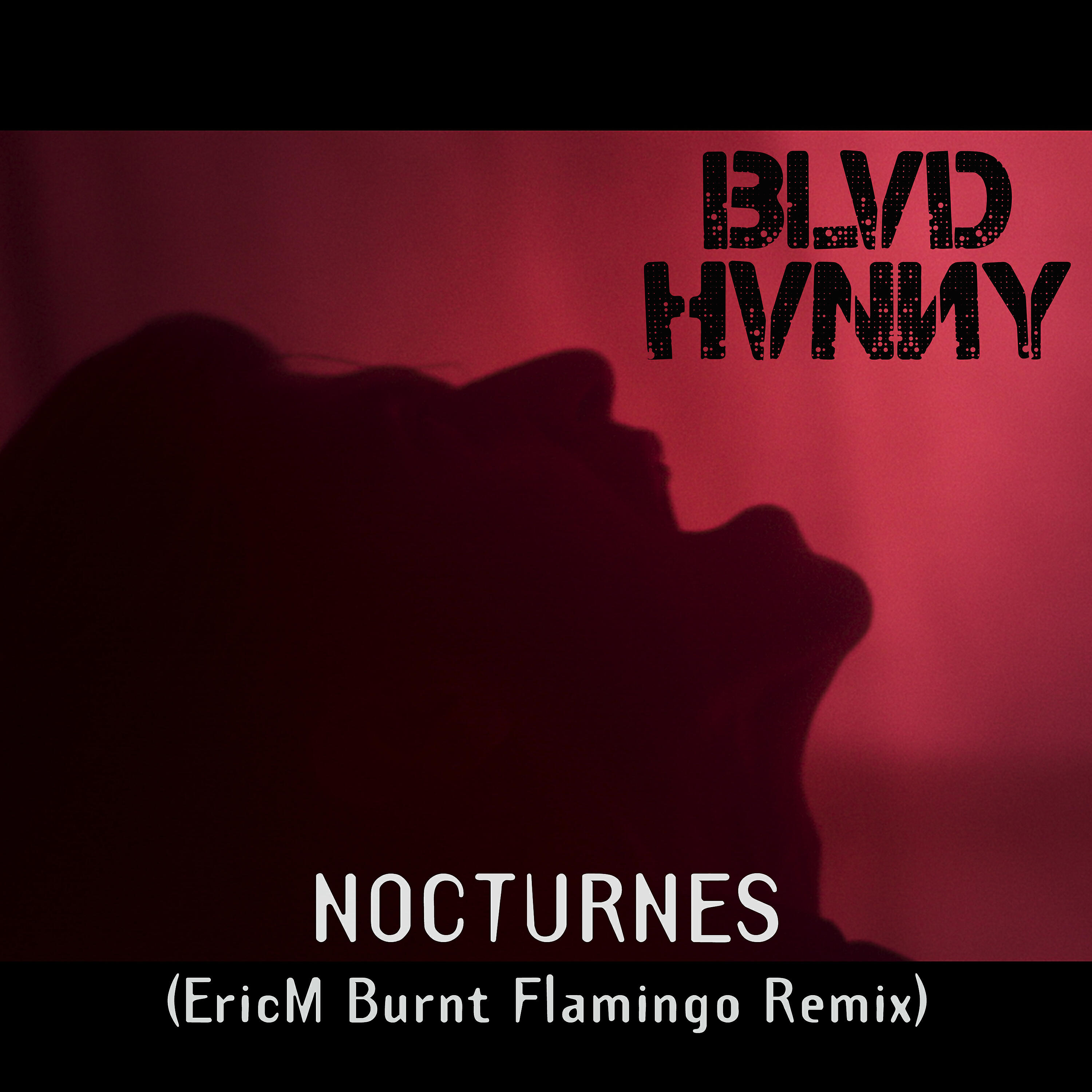 Релиз Nocturnes (EricM Burnt Flamingo Remix)