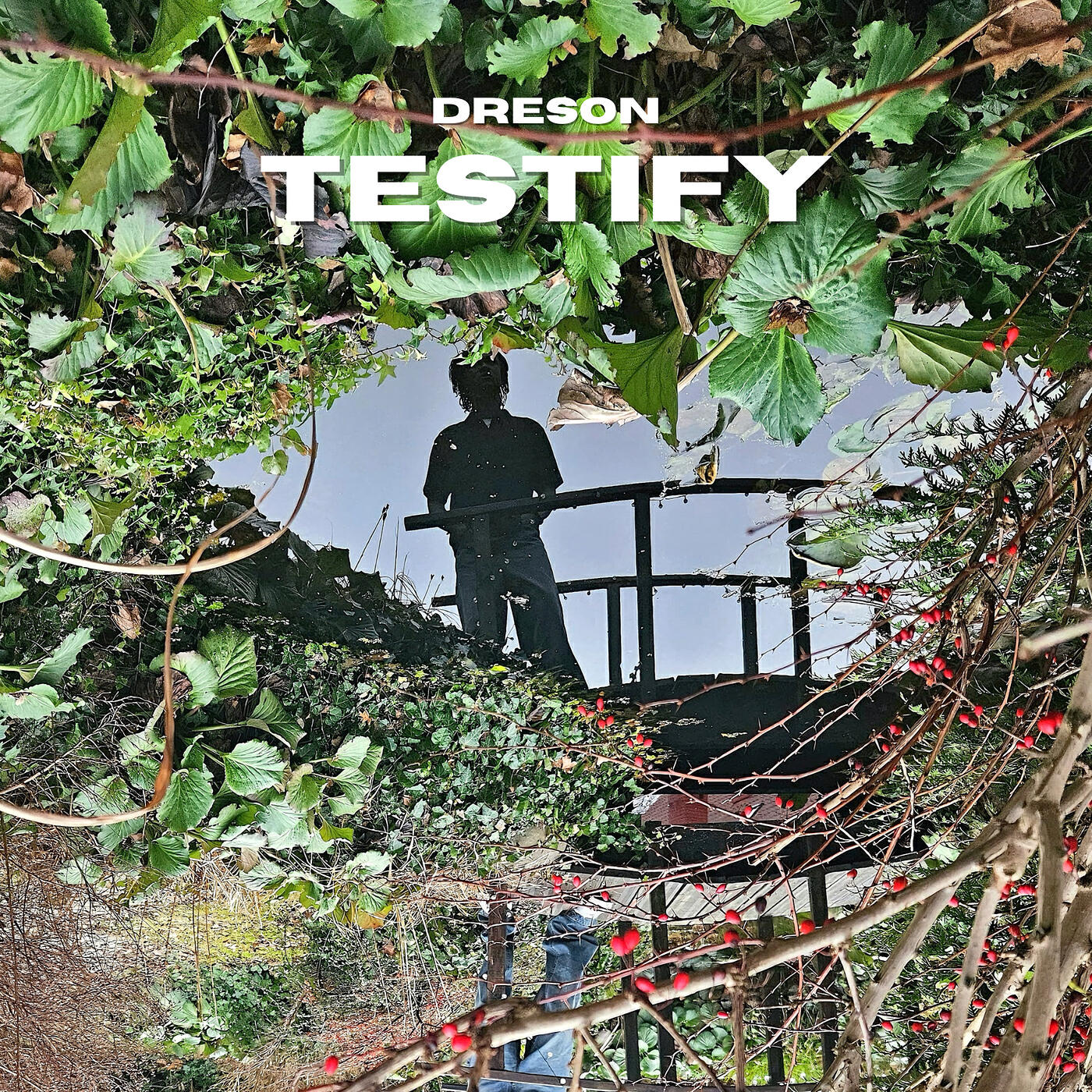 Релиз Testify