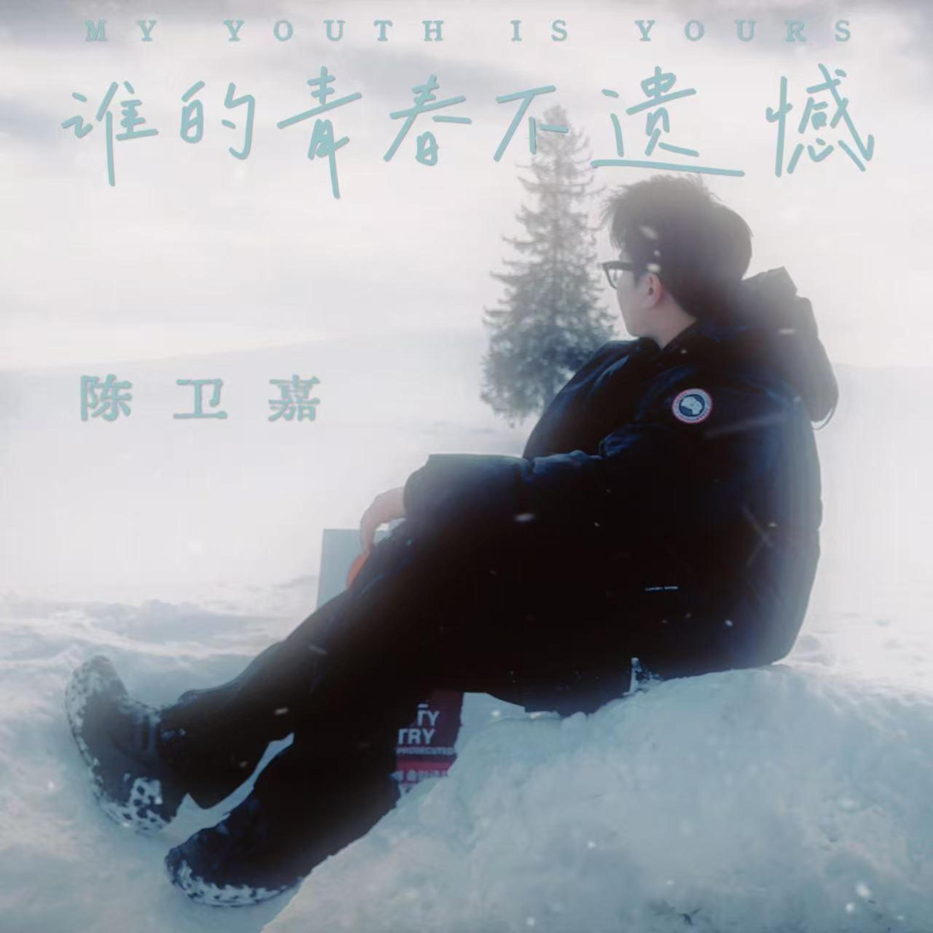 陈卫嘉