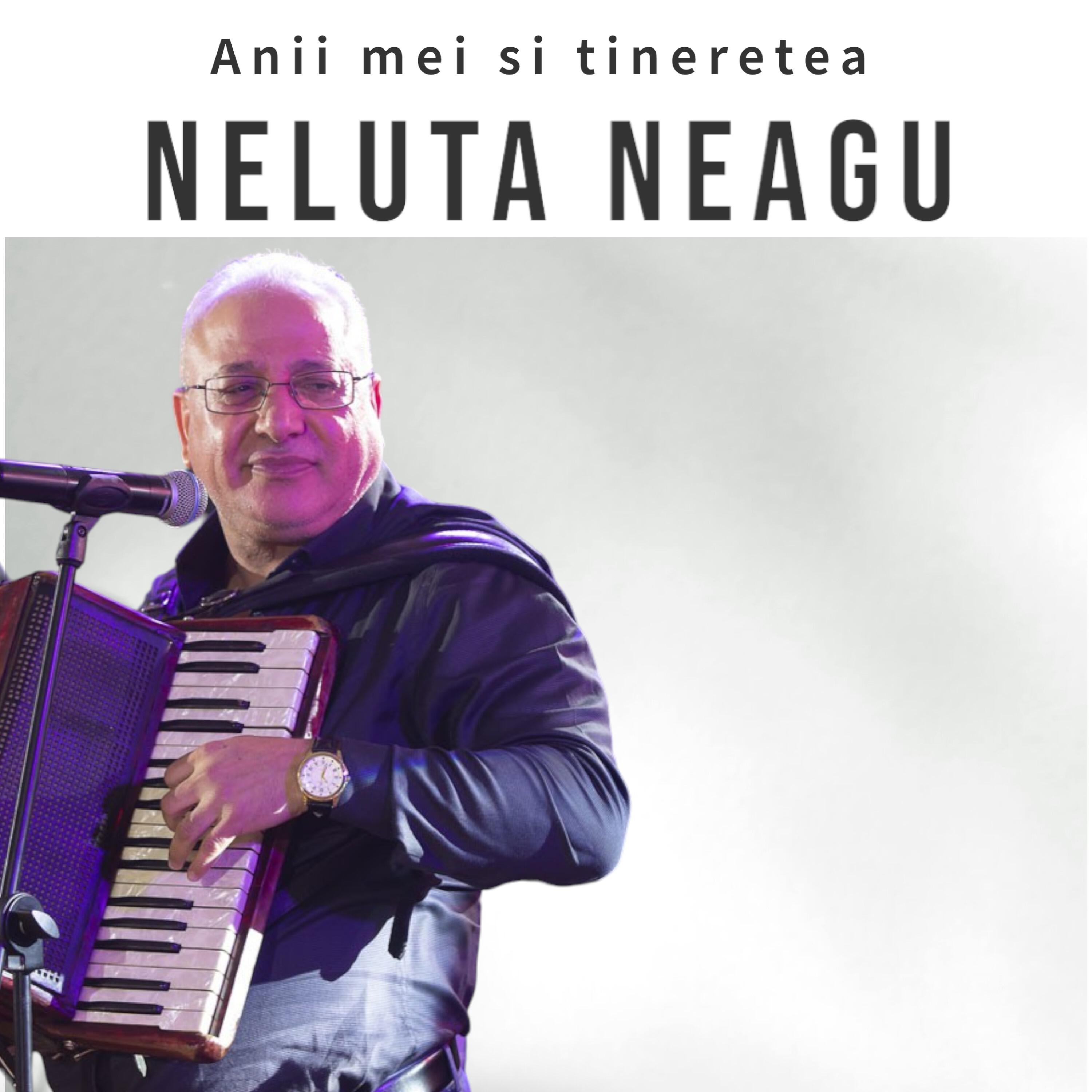 Релиз Anii mei si tineretea