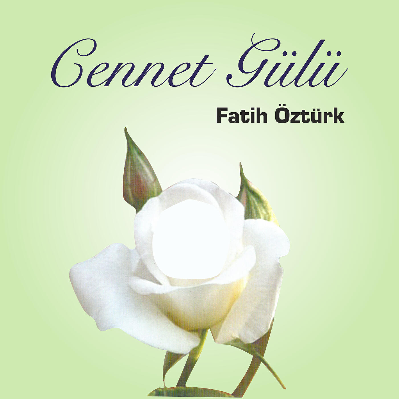 Релиз Cennet Gülü