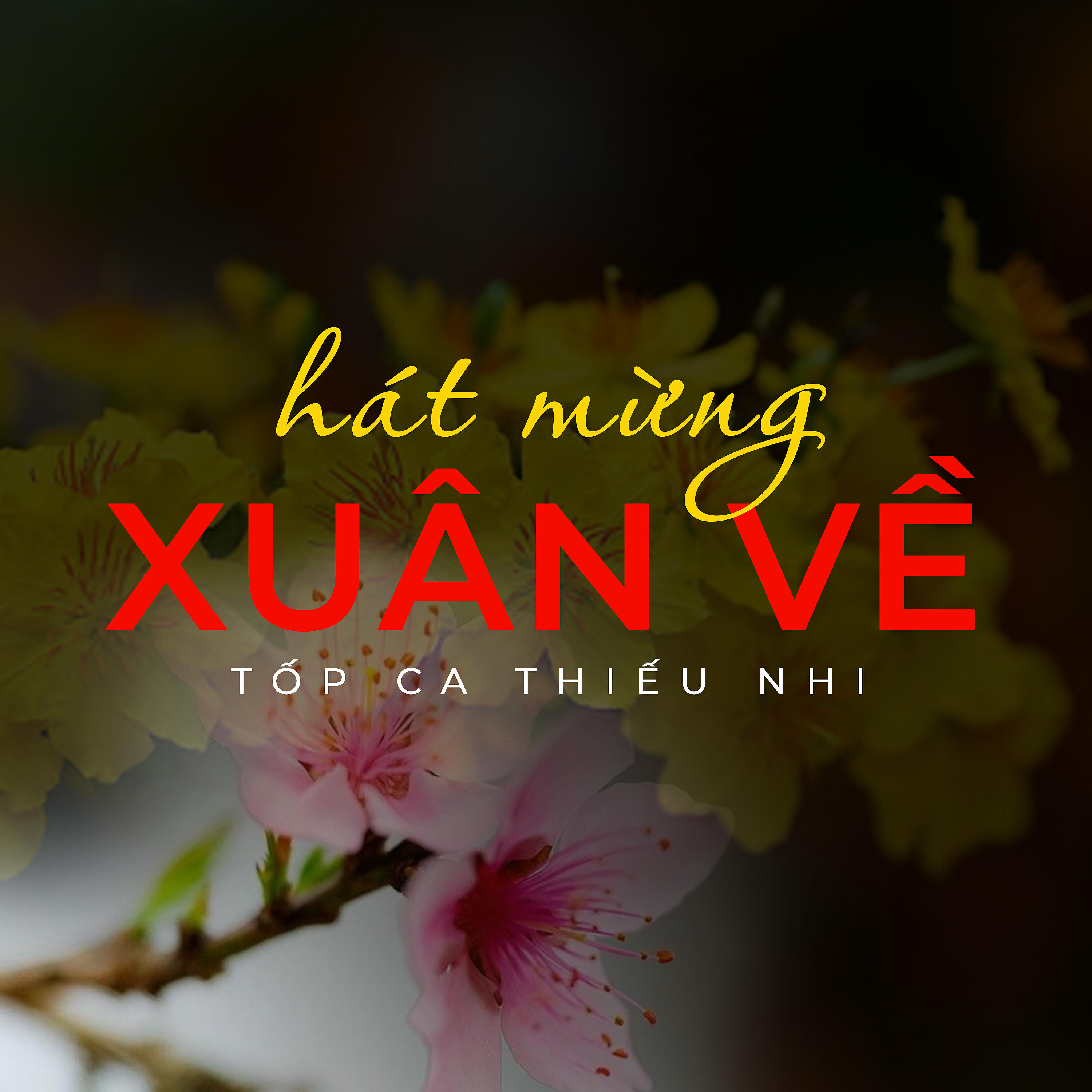 Lao Nguyễn Ivy