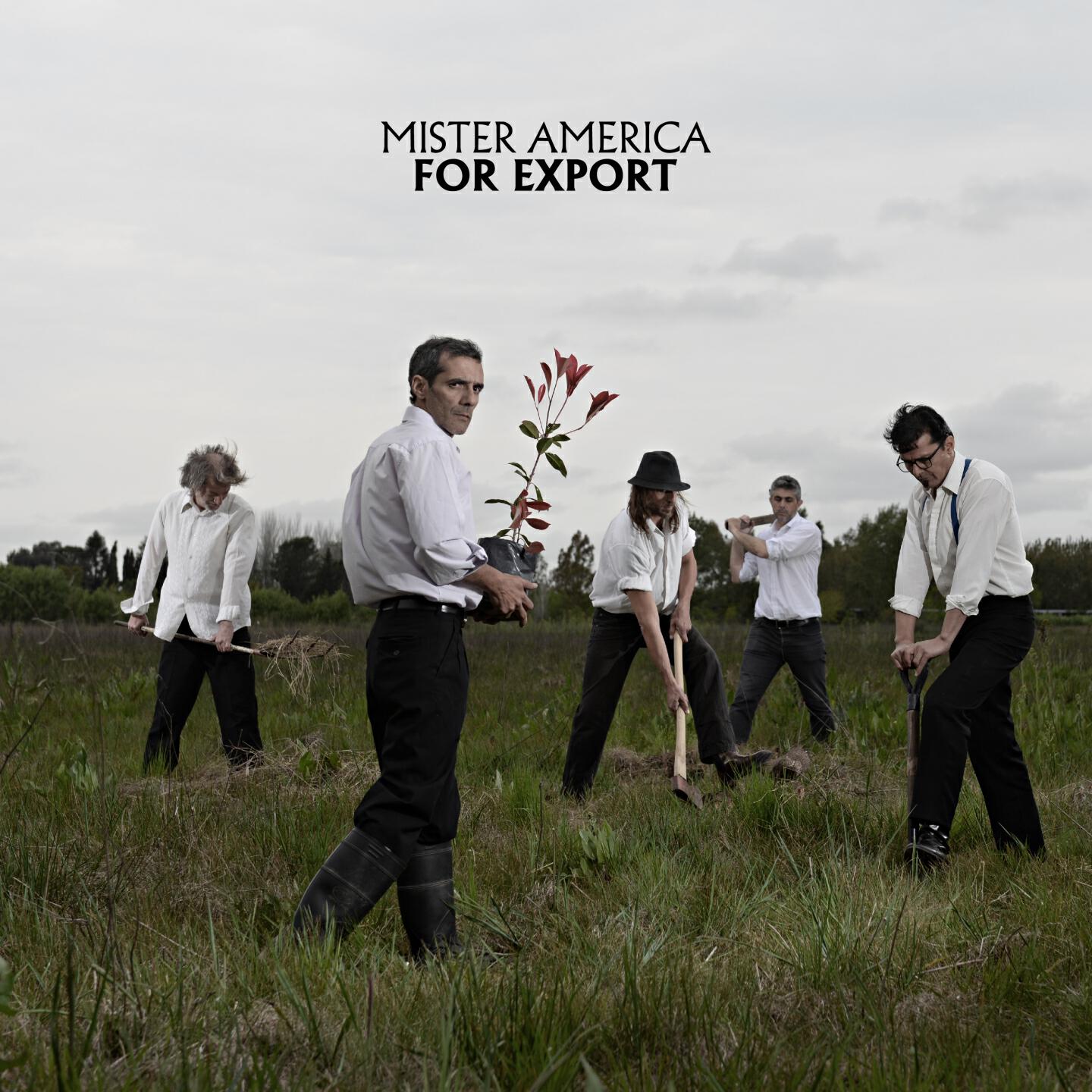Релиз For Export