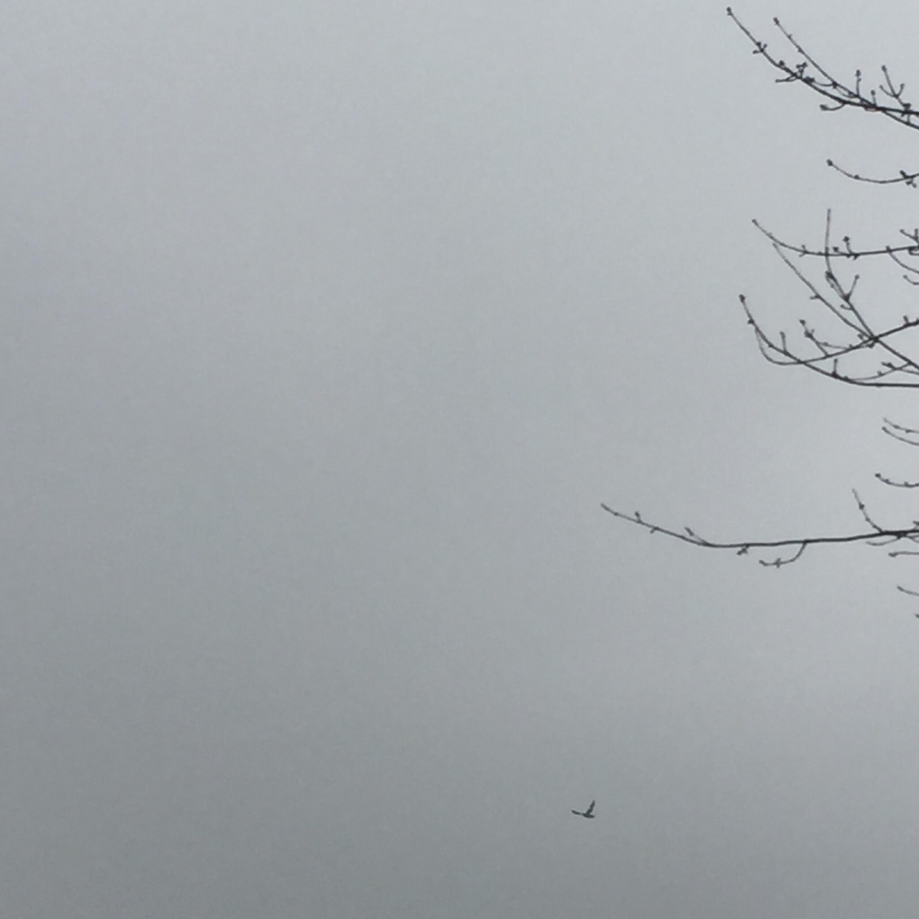 Трек The Day Before