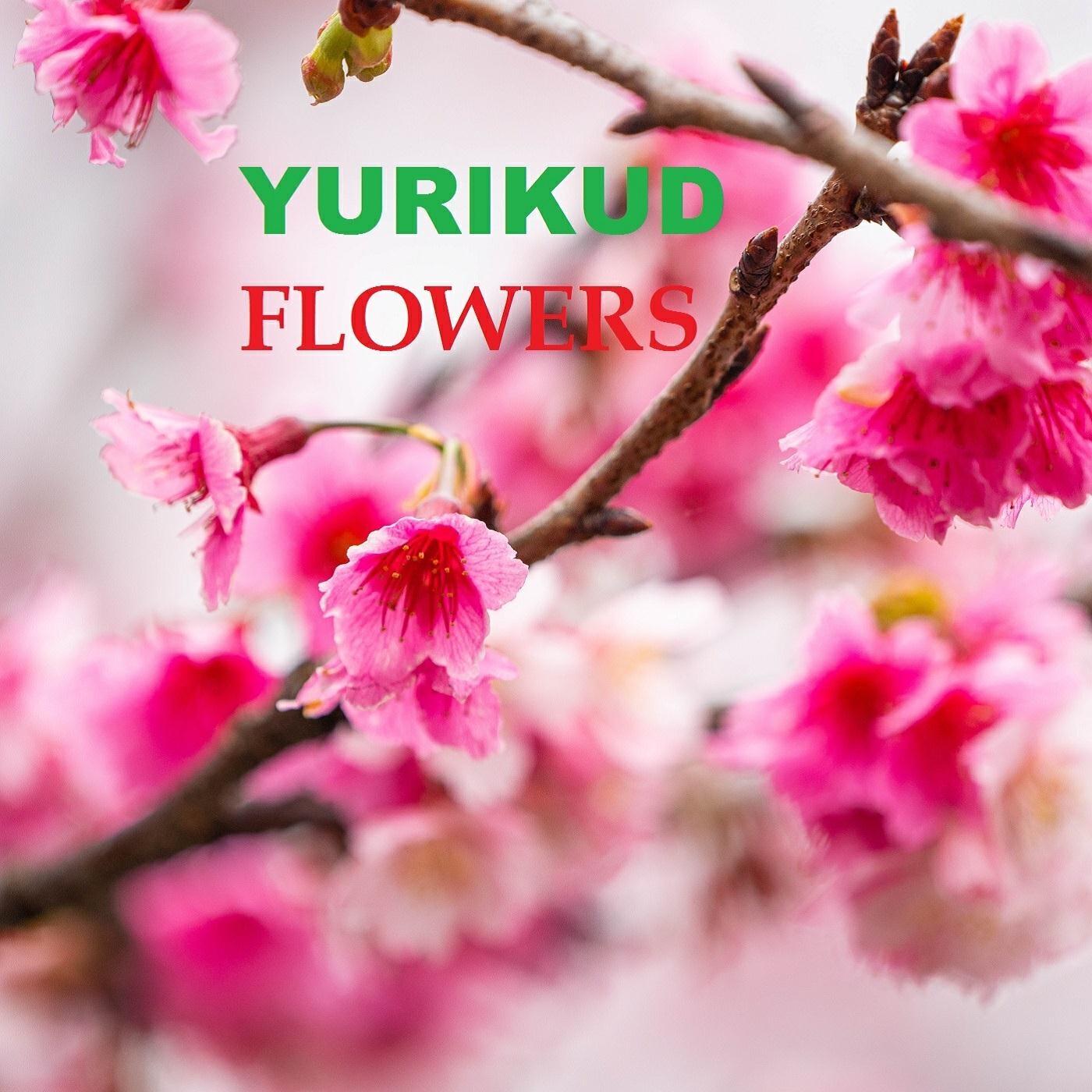 Релиз Flowers