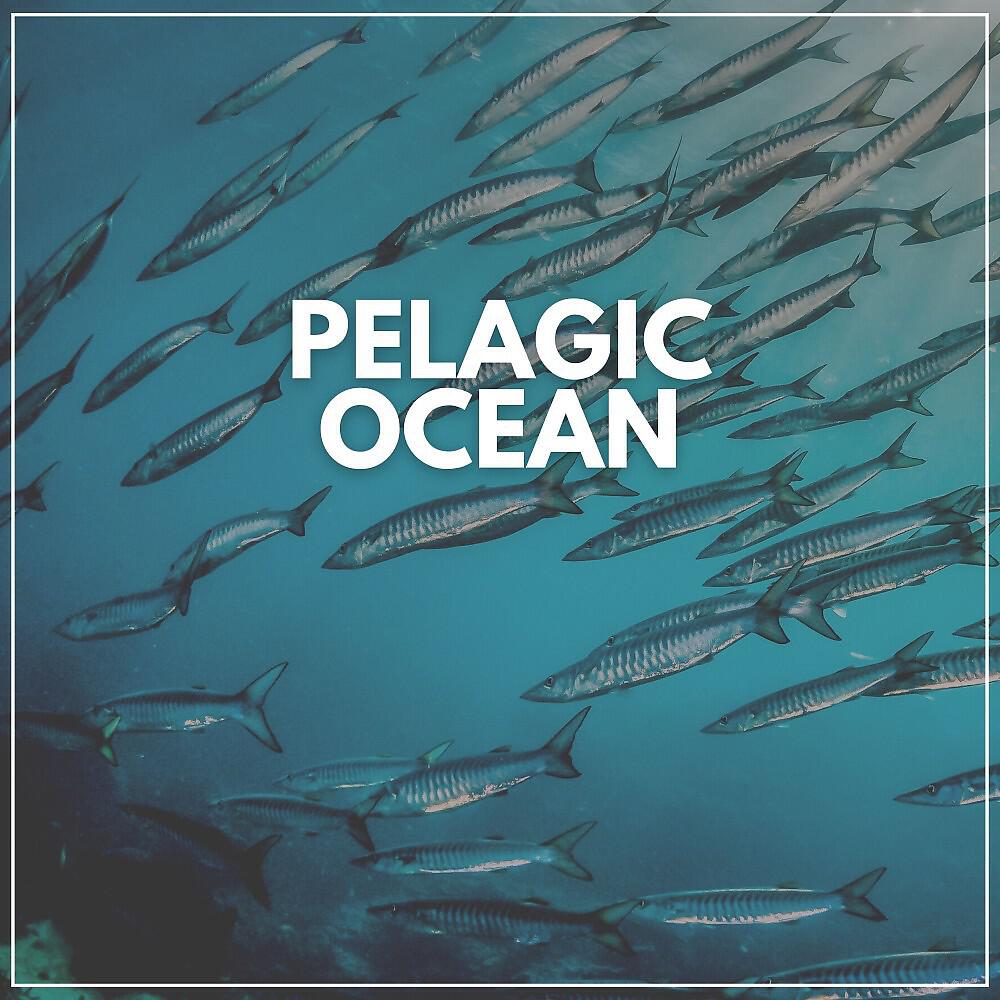 Релиз Pelagic Ocean