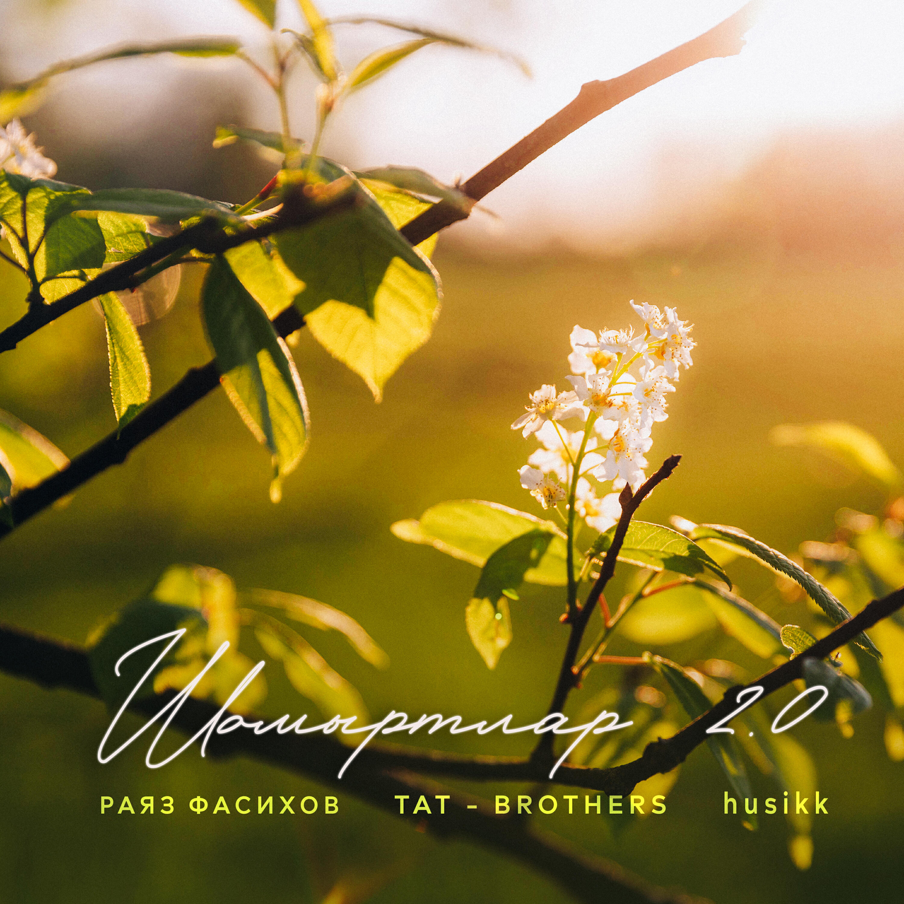 Релиз Шомыртлар 2.0