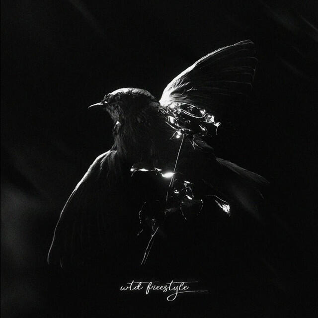 Релиз wtd freestyle