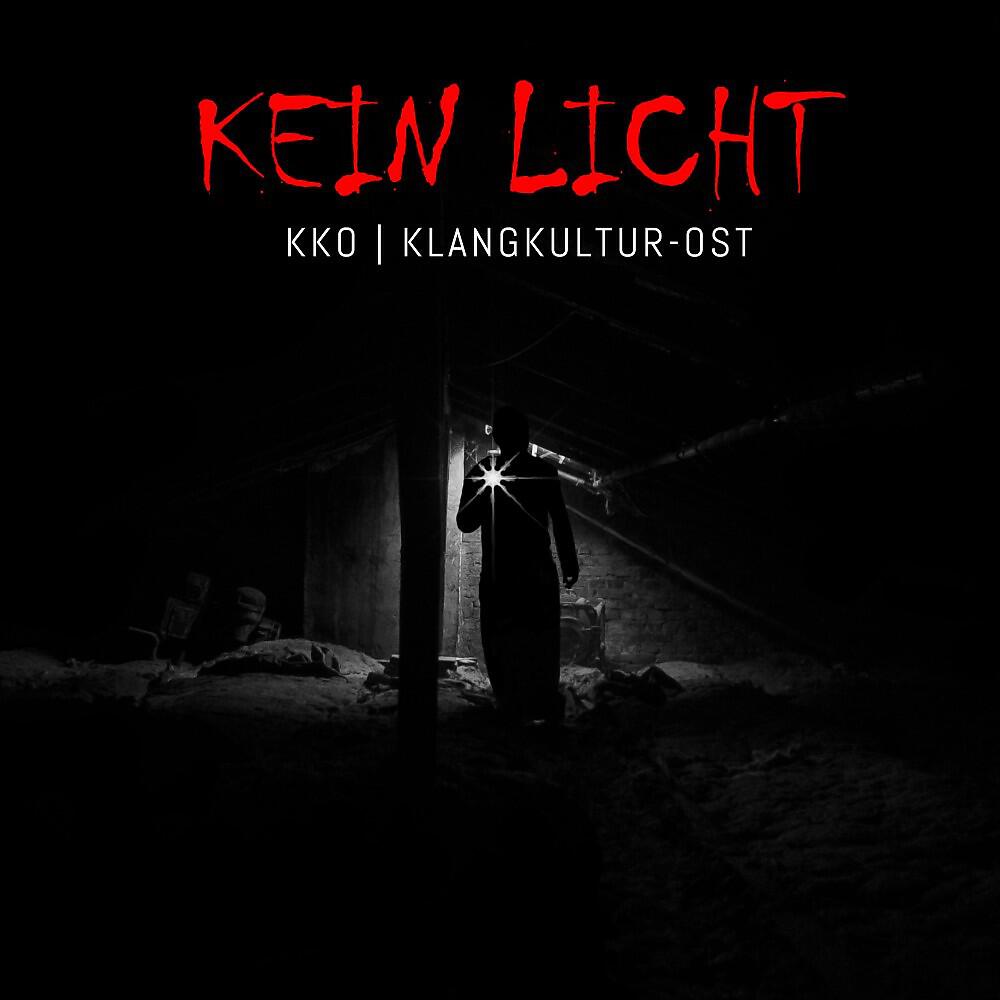Релиз Kein Licht