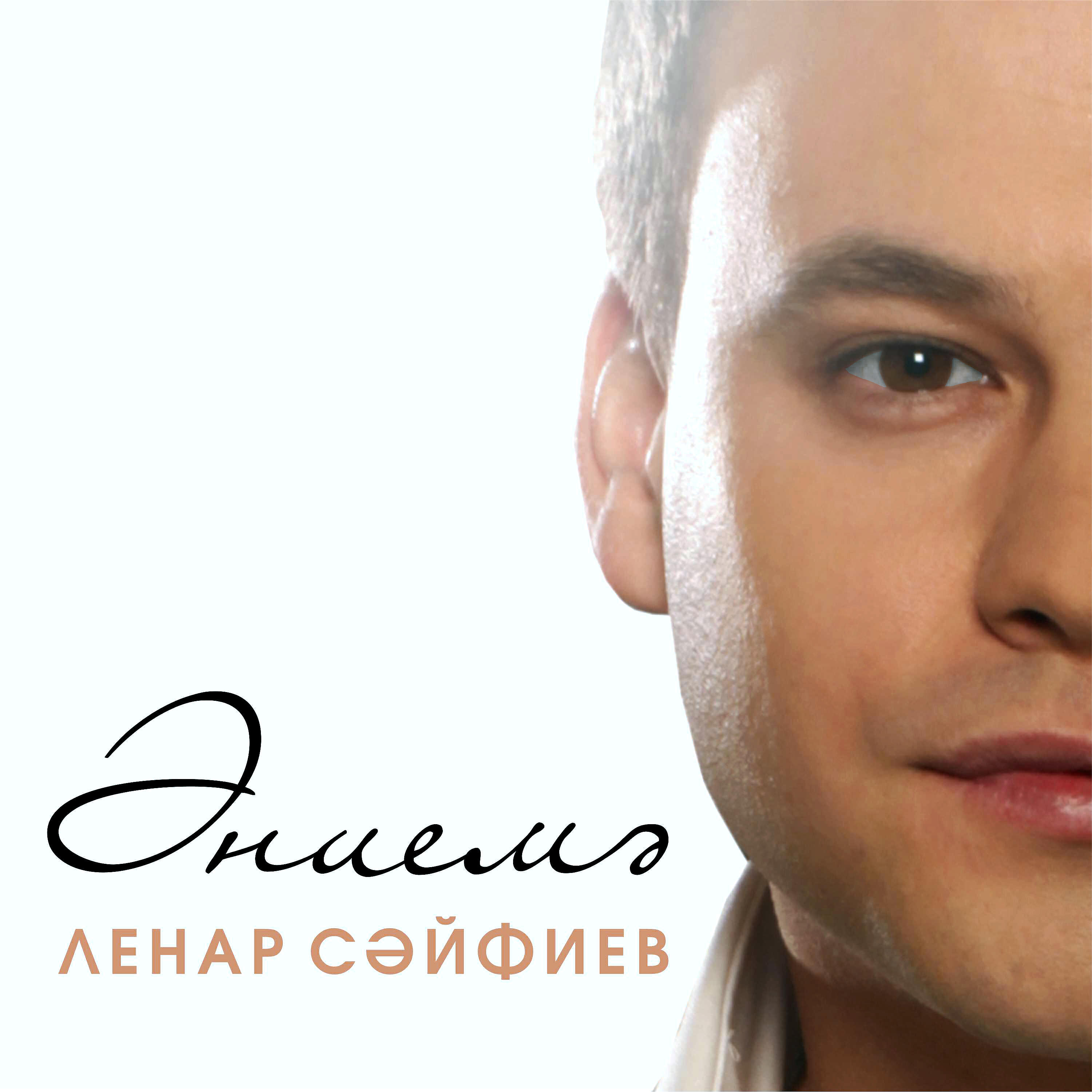 Релиз Эниемэ