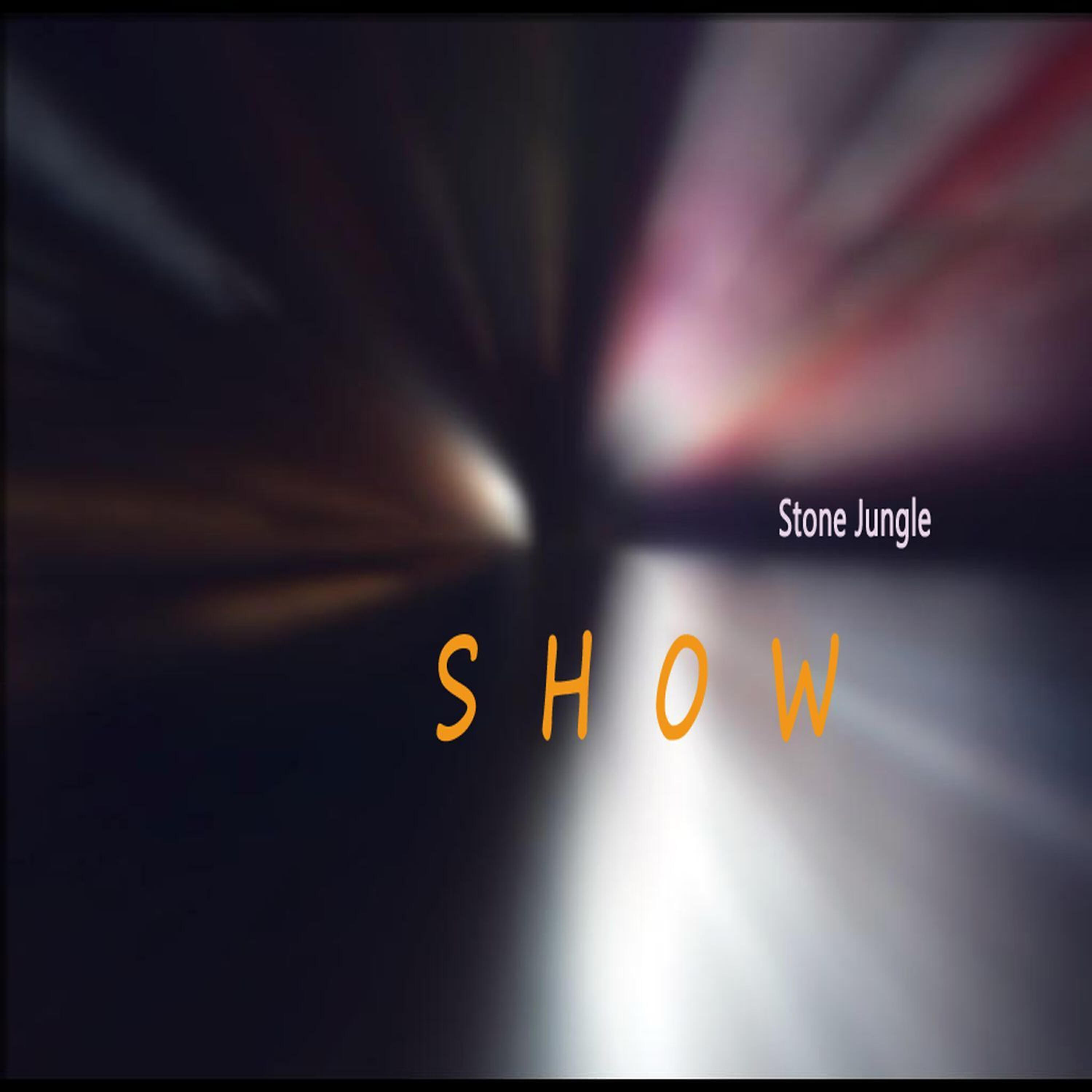 Постер альбома Stone Jungle