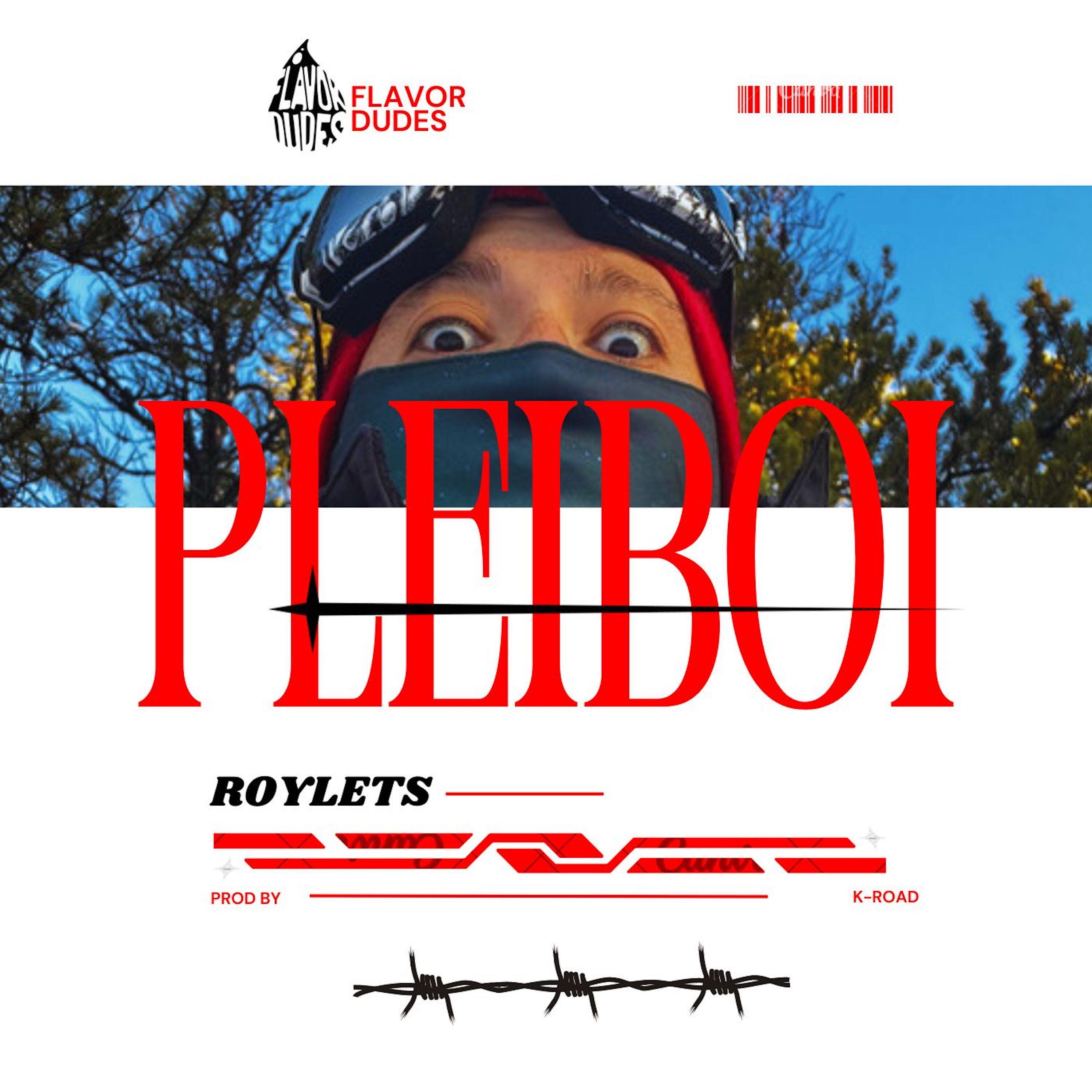 Релиз Pleiboi