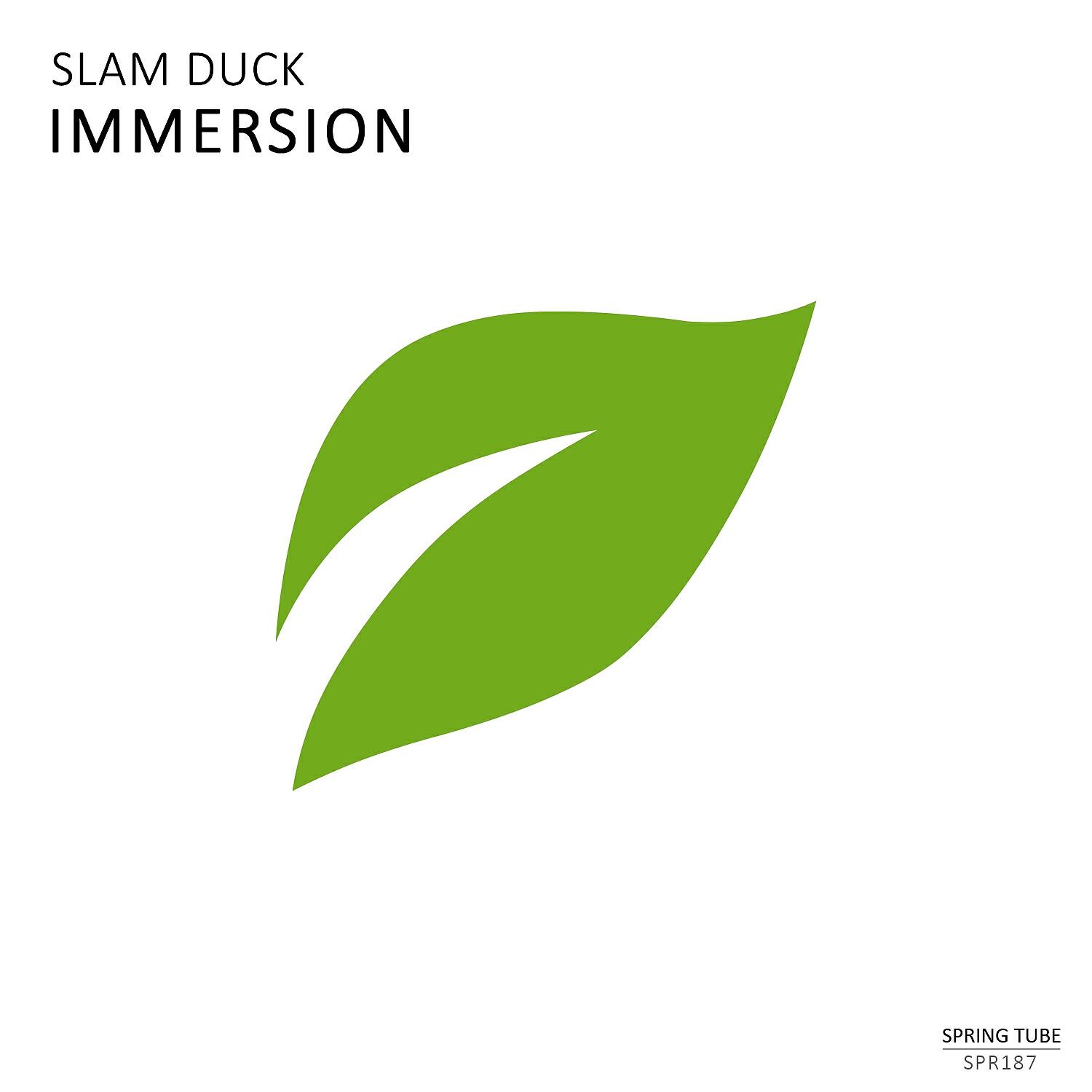 Релиз Immersion