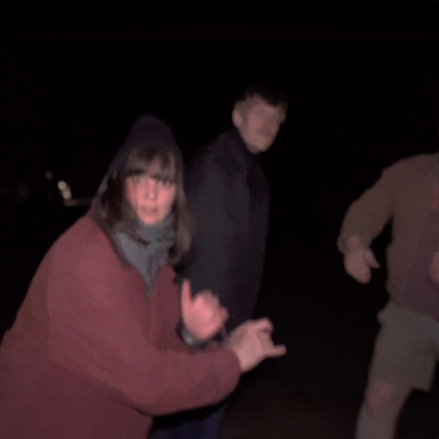 Релиз Das Licht