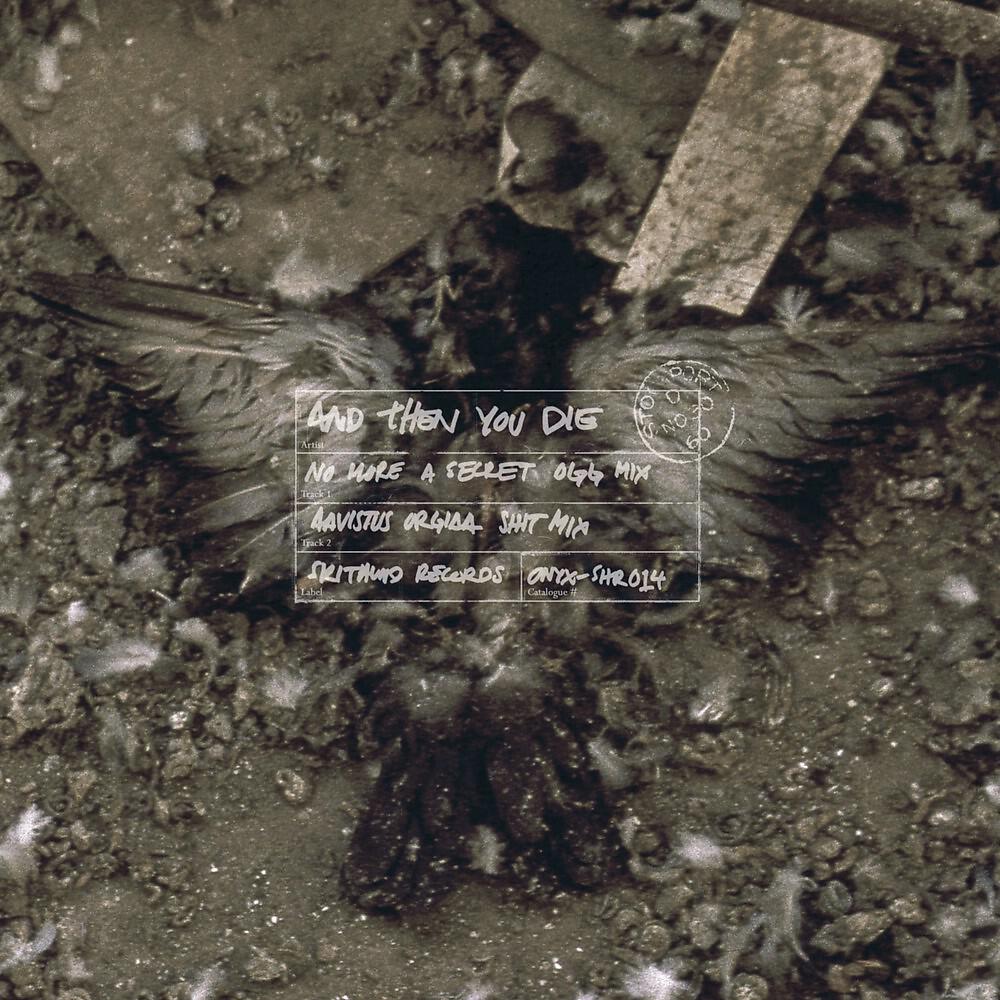 Релиз Morning Star