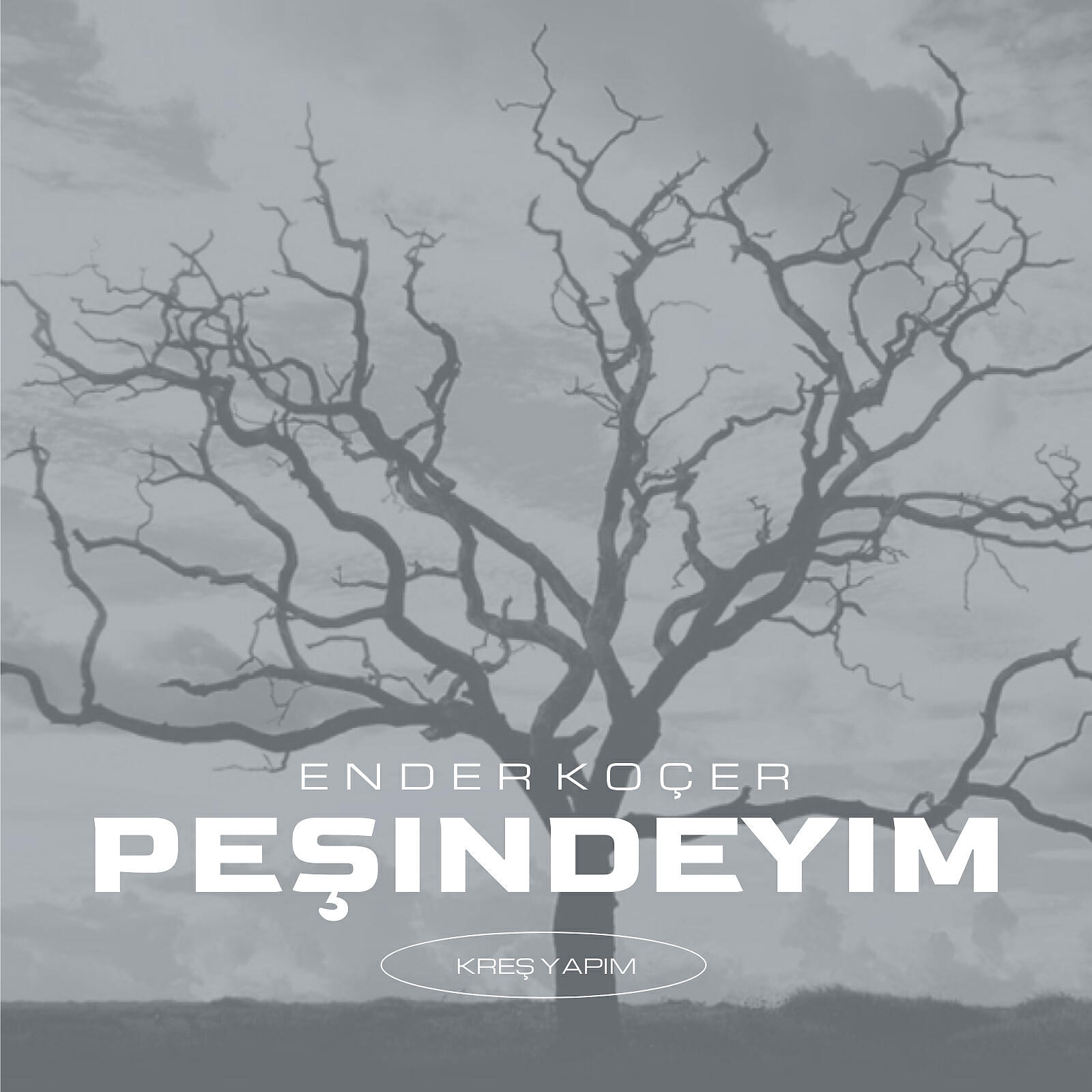 Релиз Peşindeyim