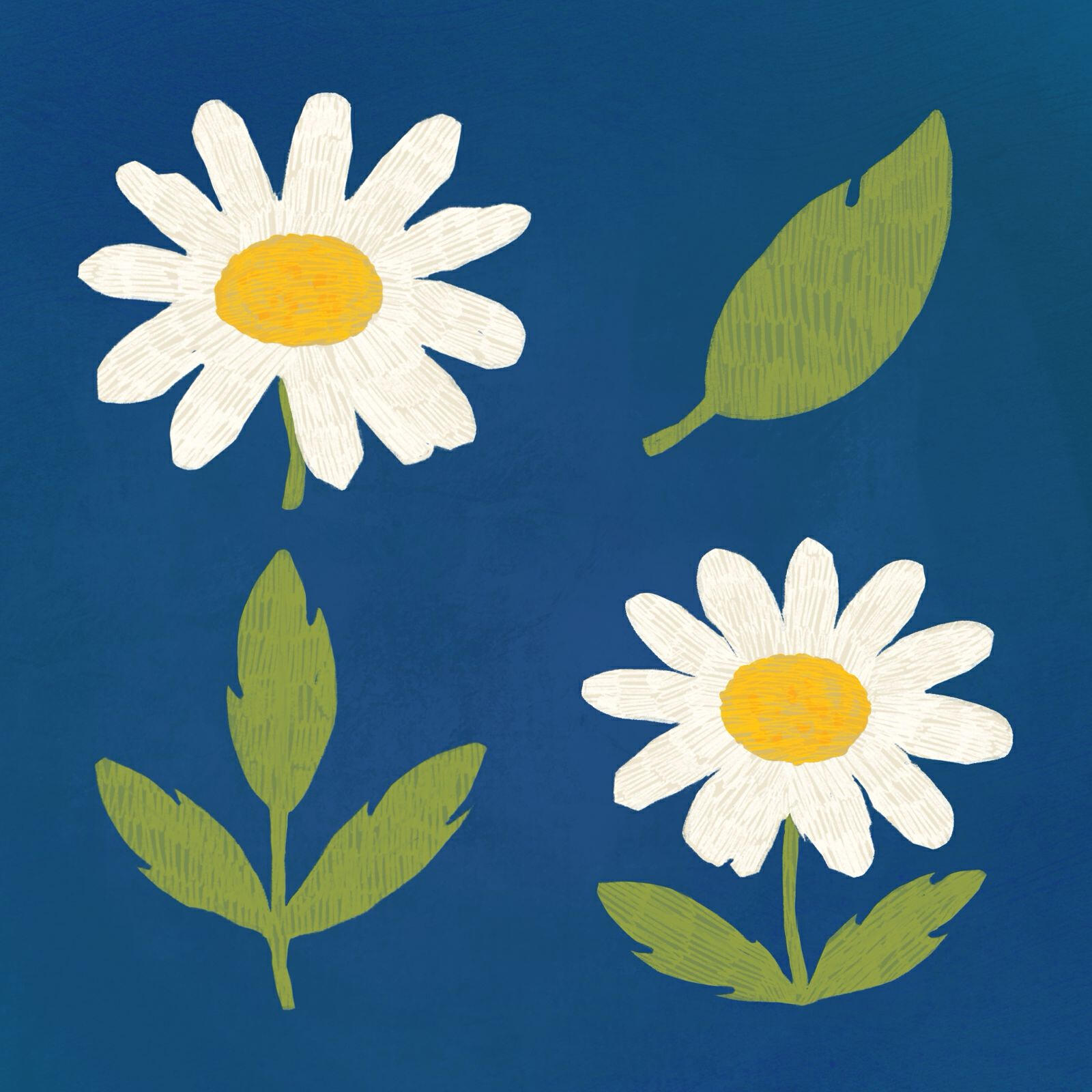 Релиз chamomile waltz