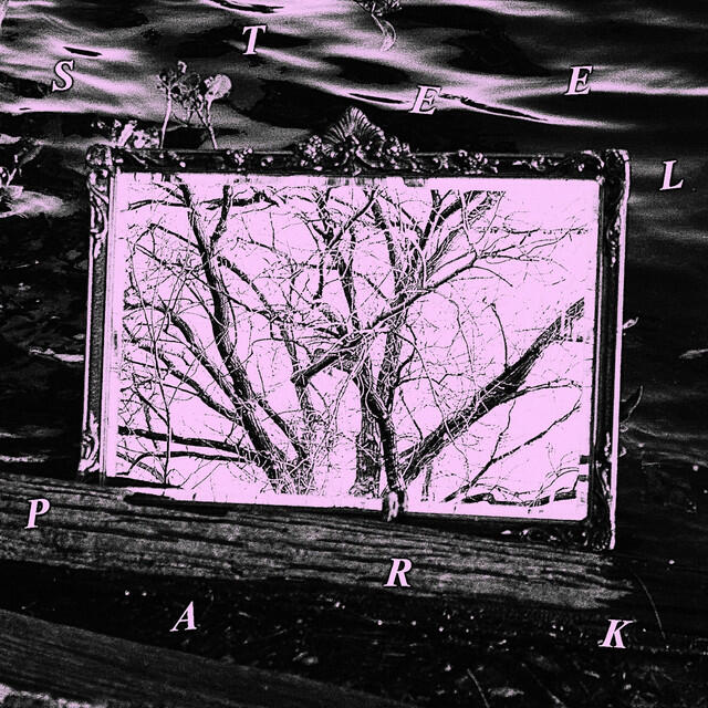 Релиз Steel Park (The Path)