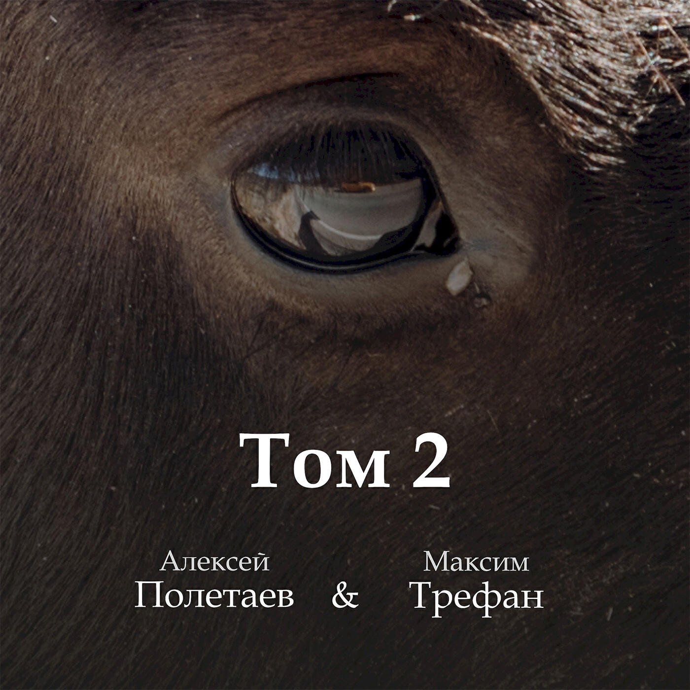Релиз Том 2