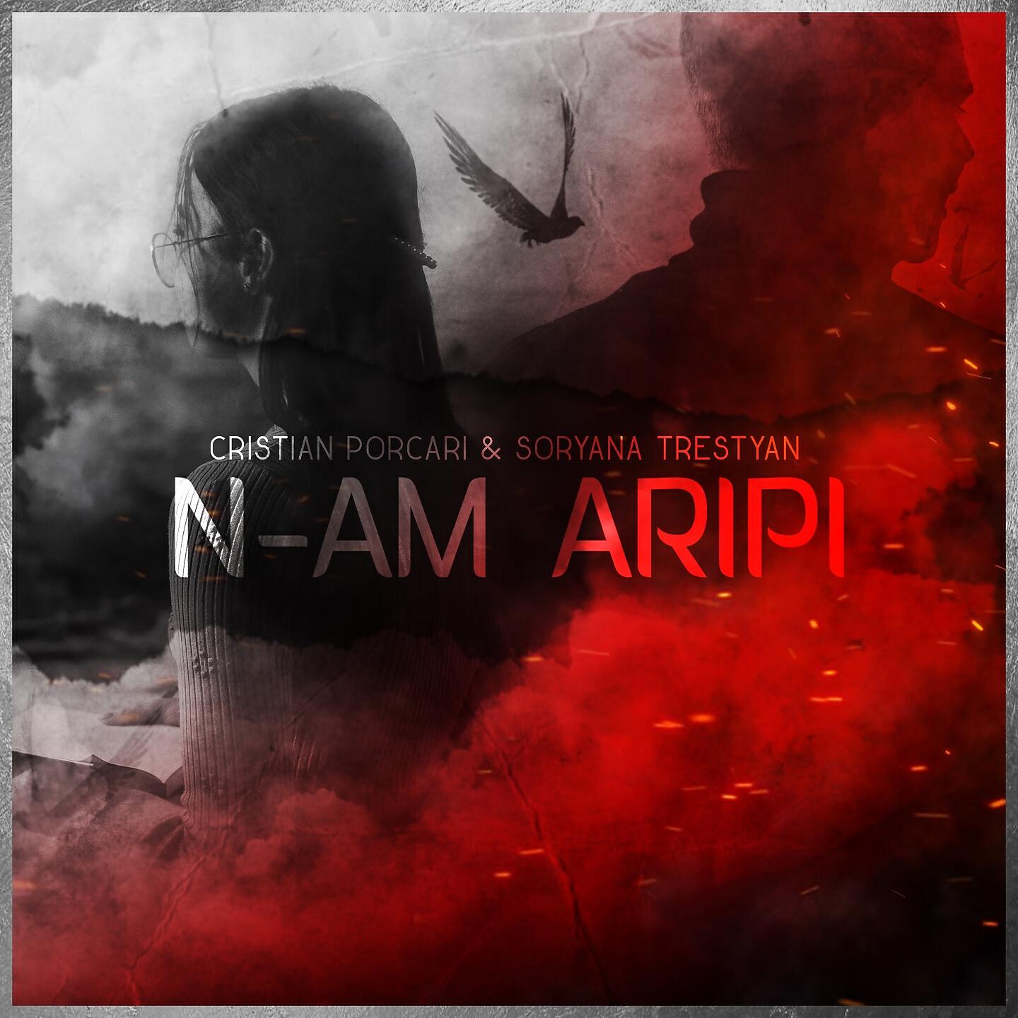 Релиз N-am Aripi