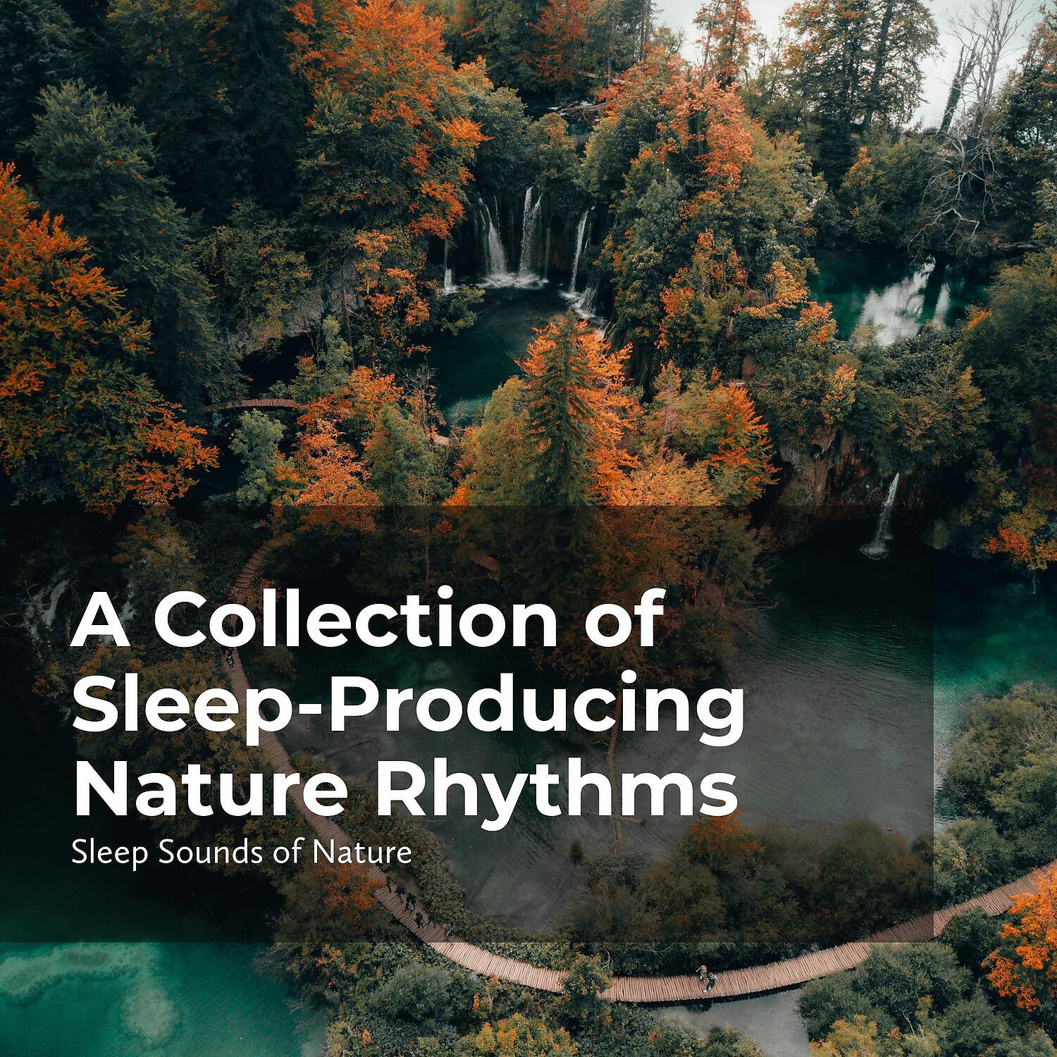 Релиз Sleep-Producing Nature Rhythms