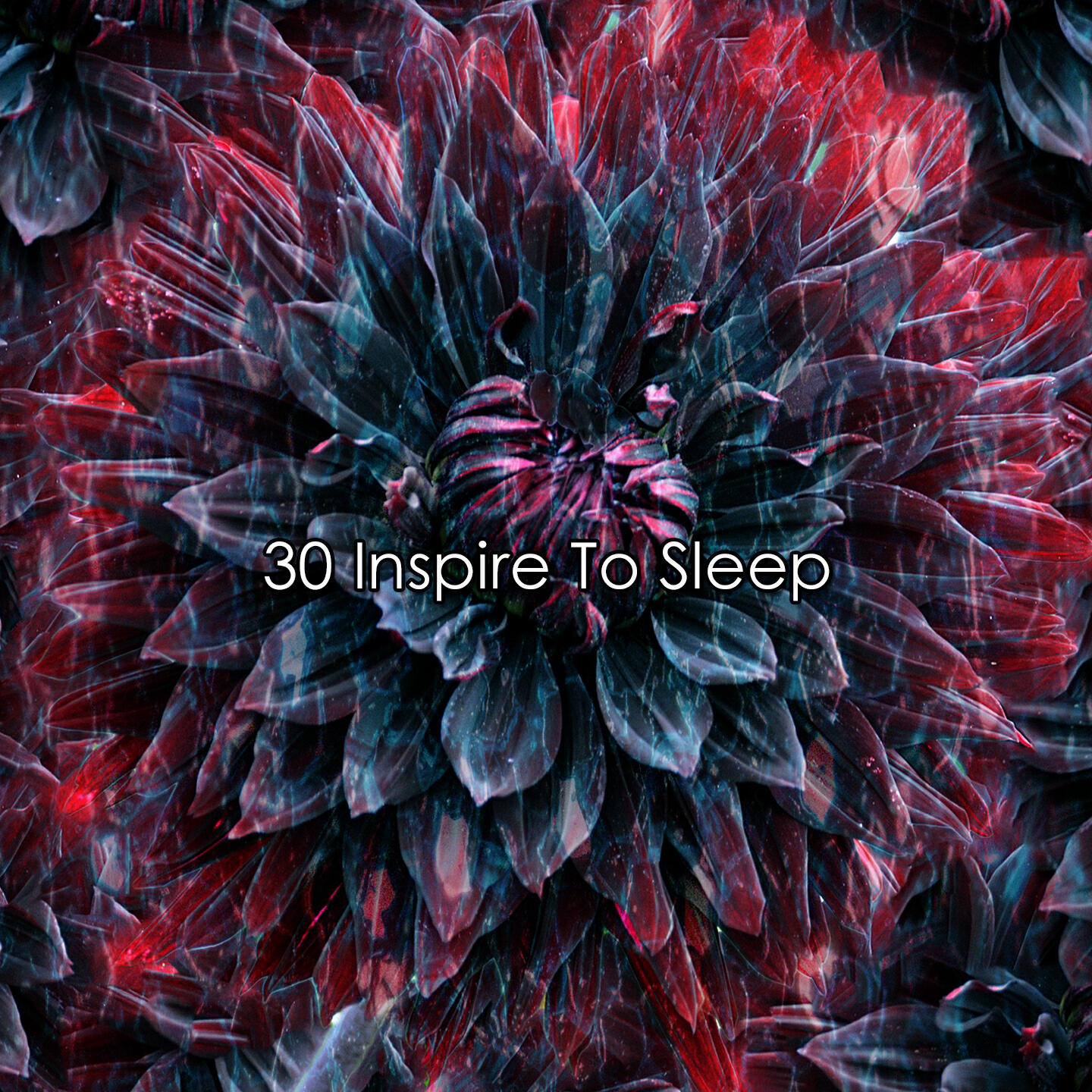 Релиз 30 Inspire To Sleep