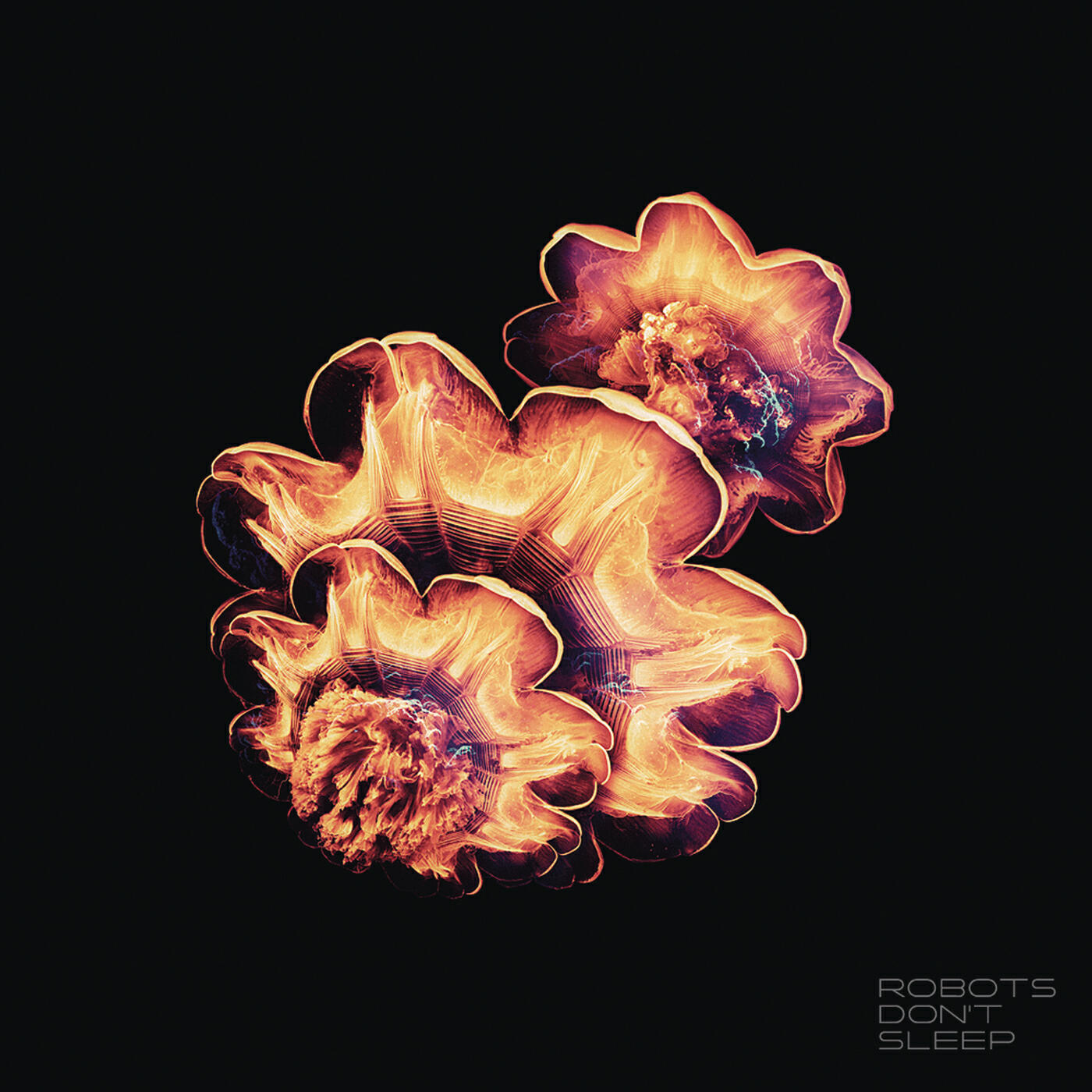 Релиз Robots Don't Sleep