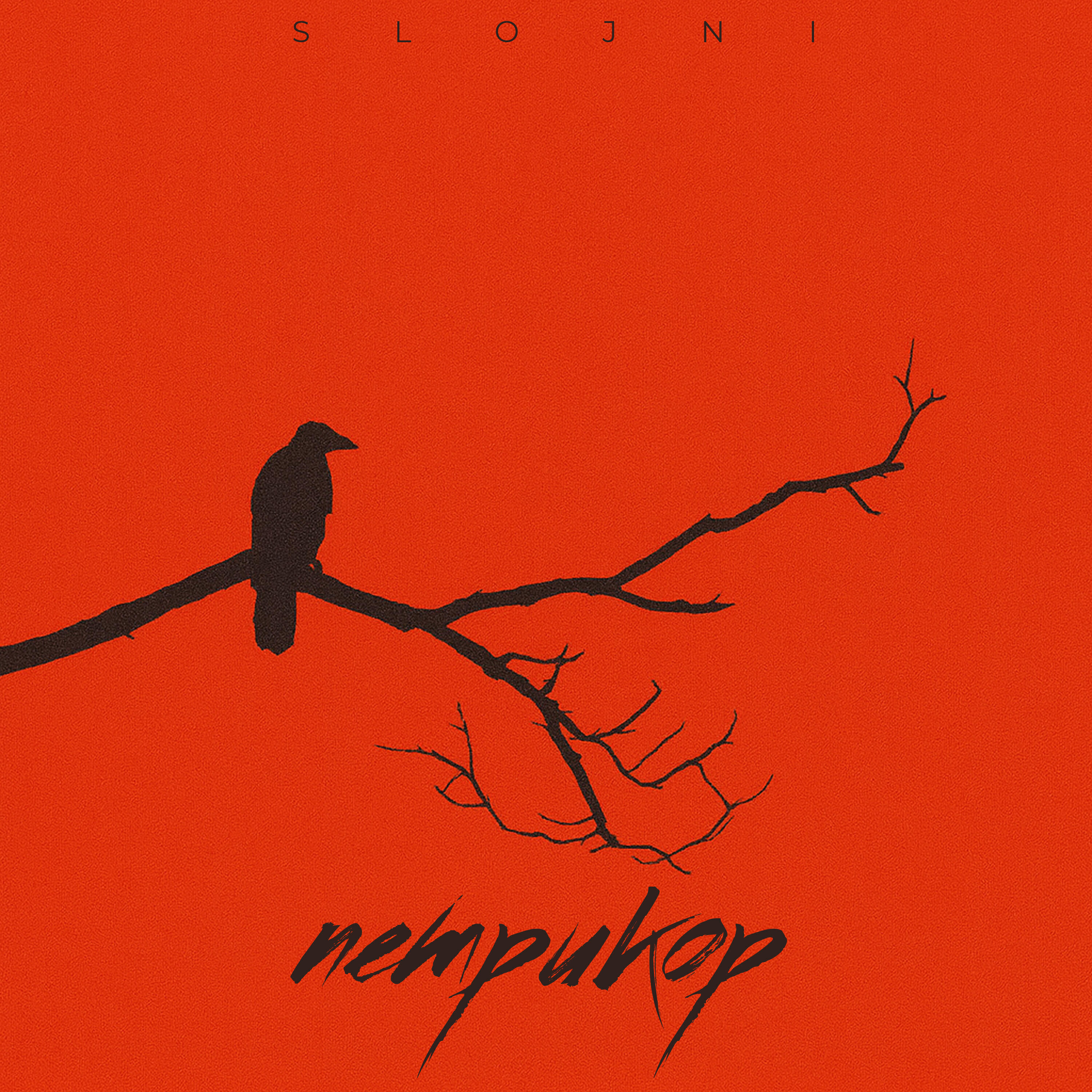 Релиз ПЕТРИКОР