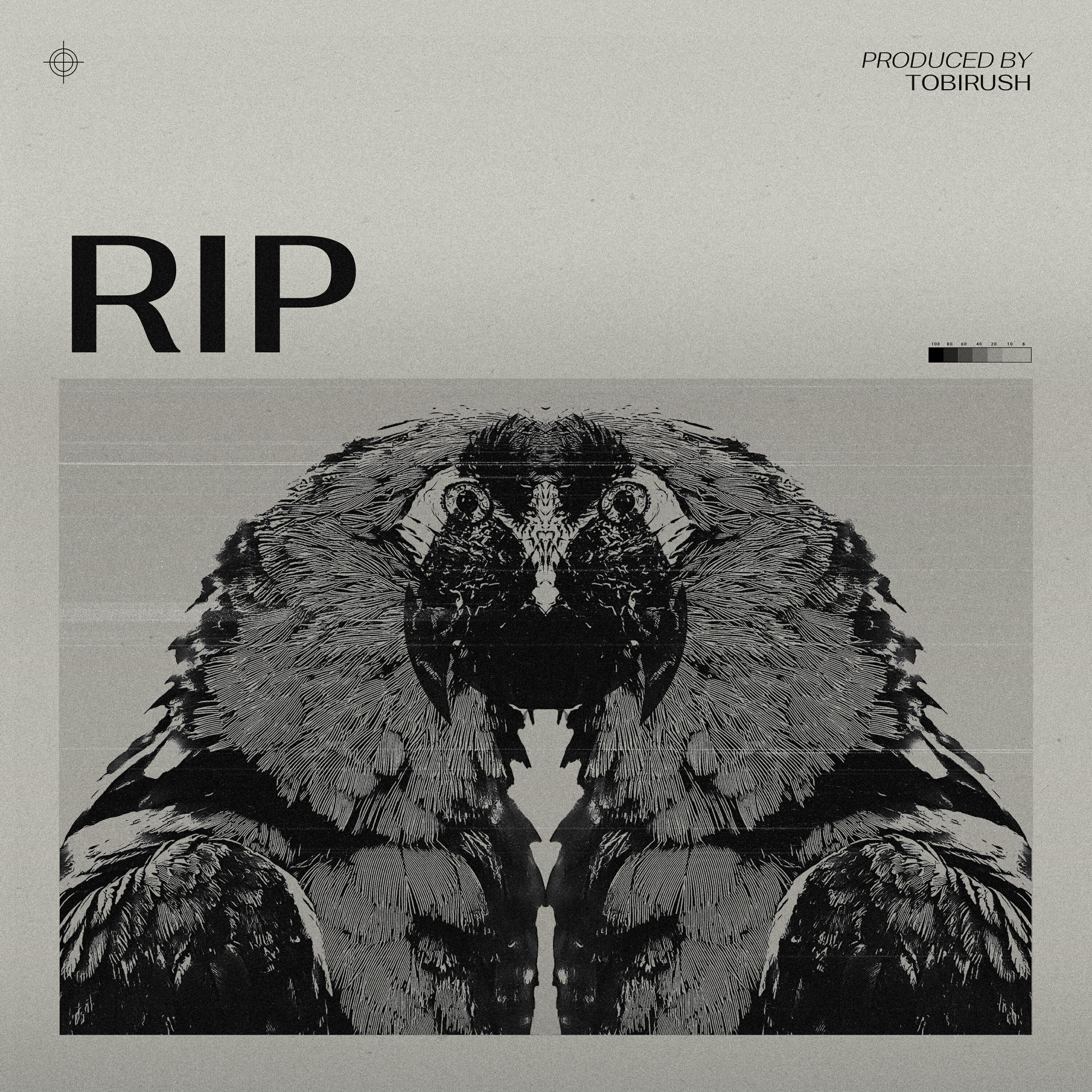 Релиз RIP