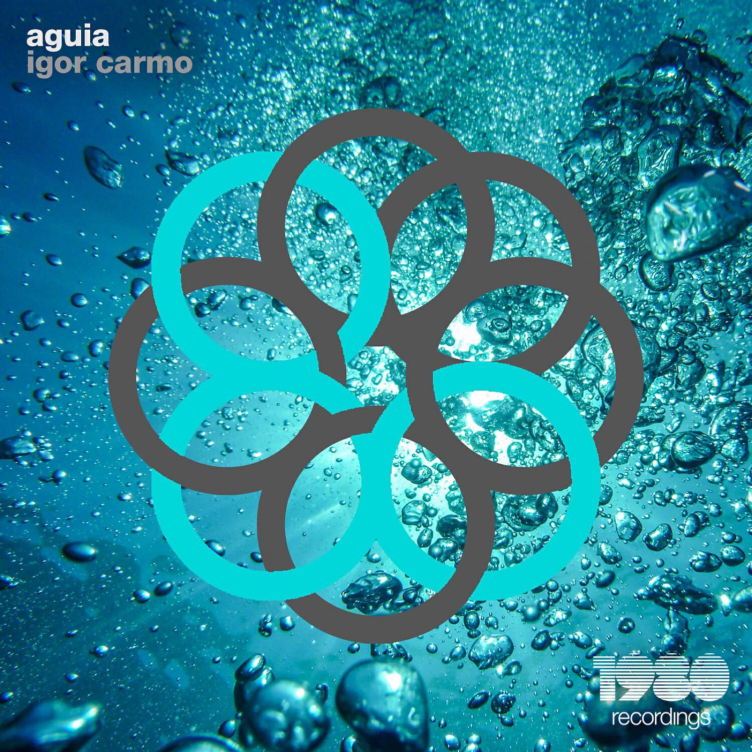Релиз Aguia