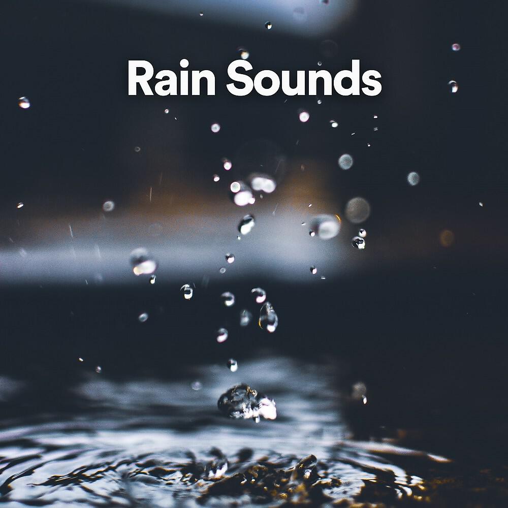 Релиз Rain Sounds