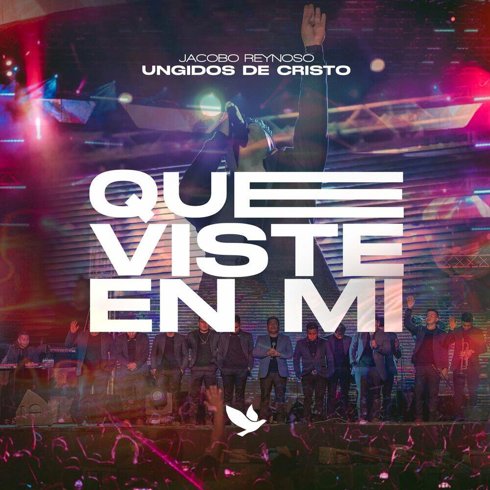 Релиз Que Viste en Mi (En Vivo)