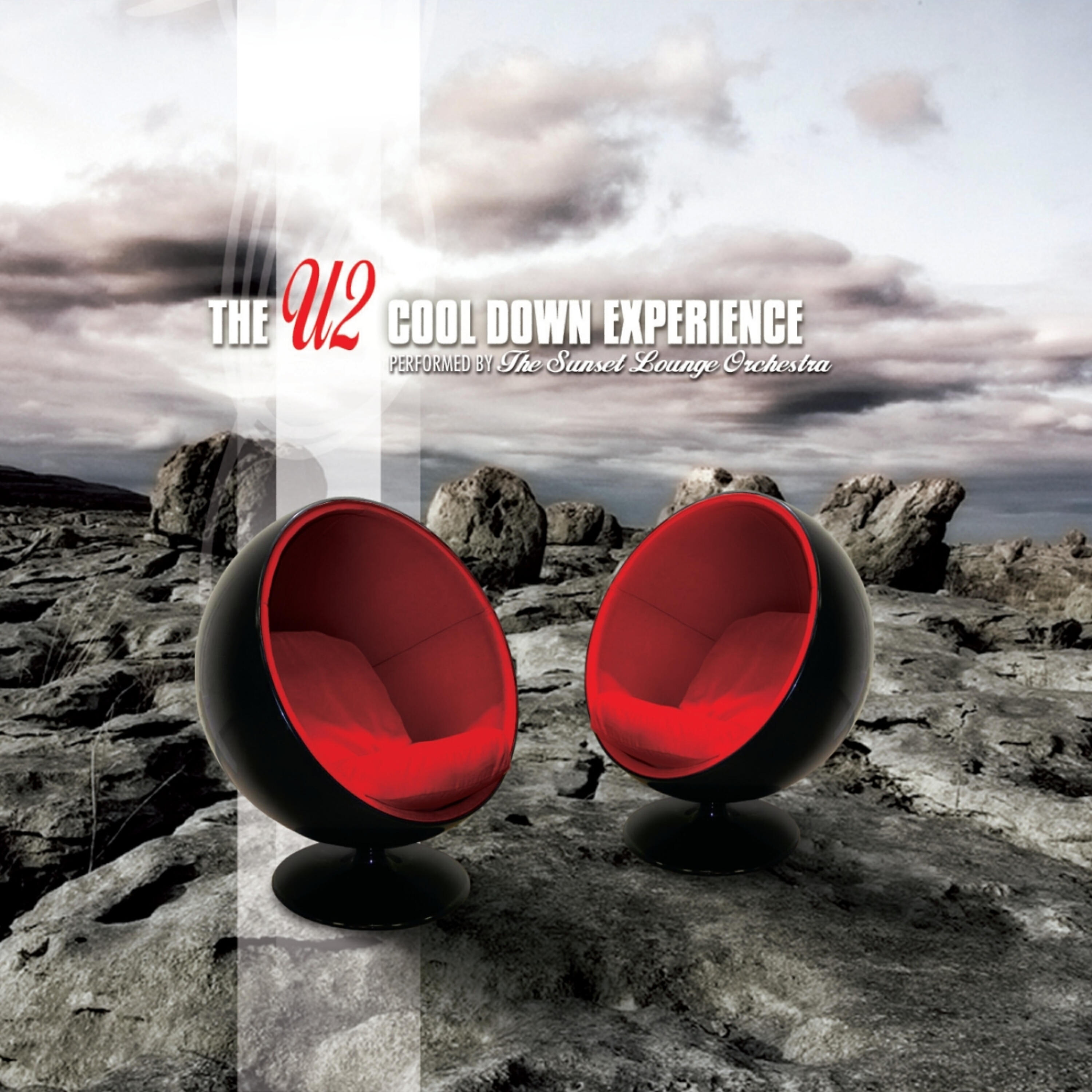 Постер альбома The U2 Cool Down Experience