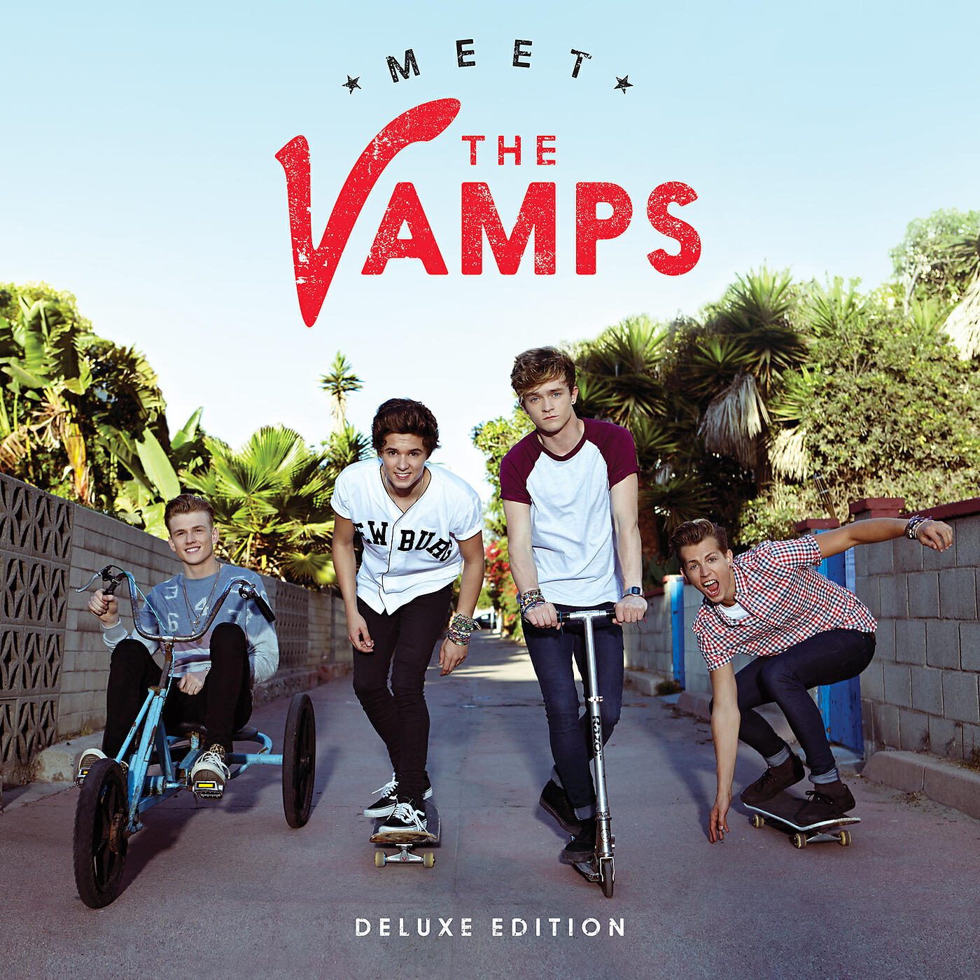 Постер альбома Meet The Vamps
