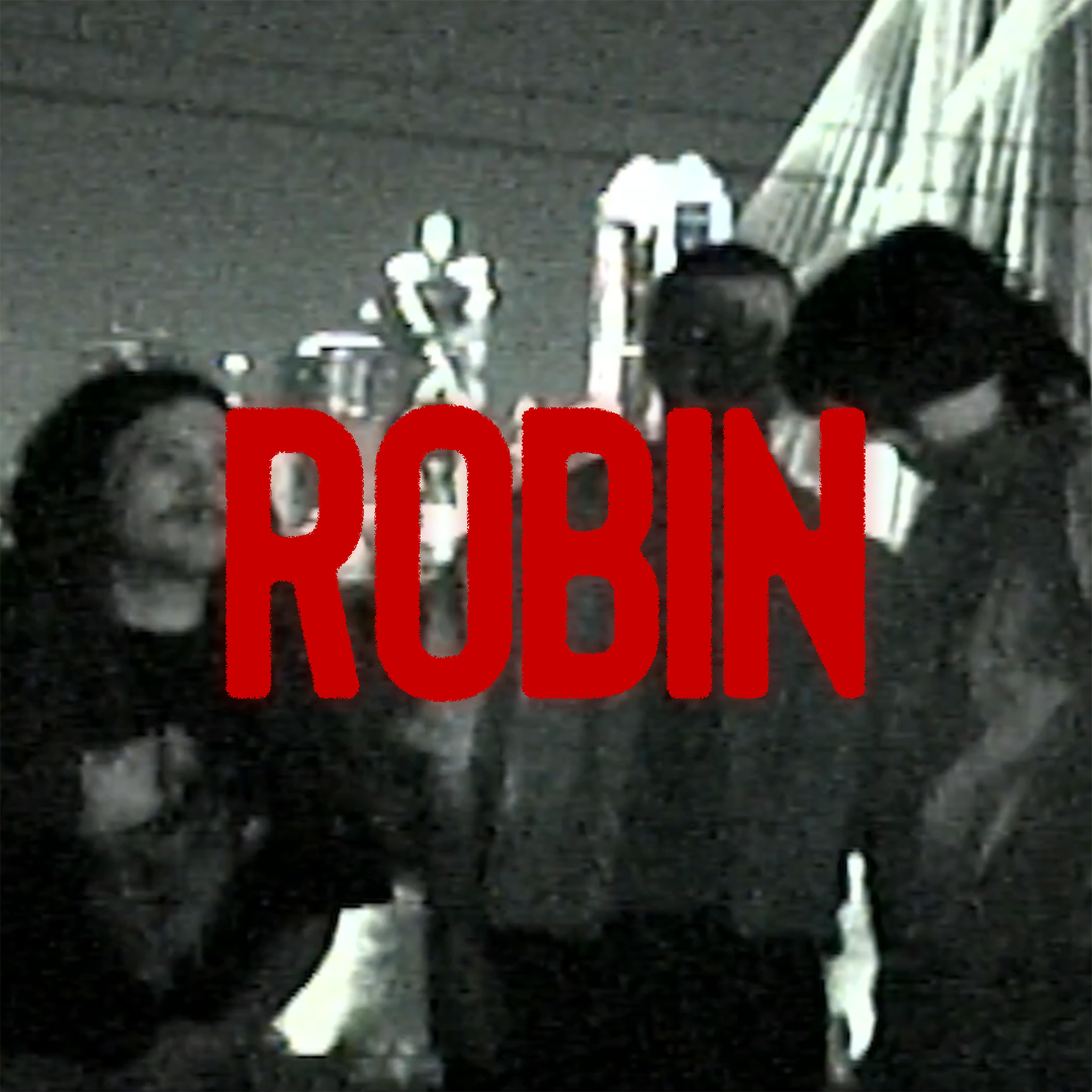 Релиз ROBIN